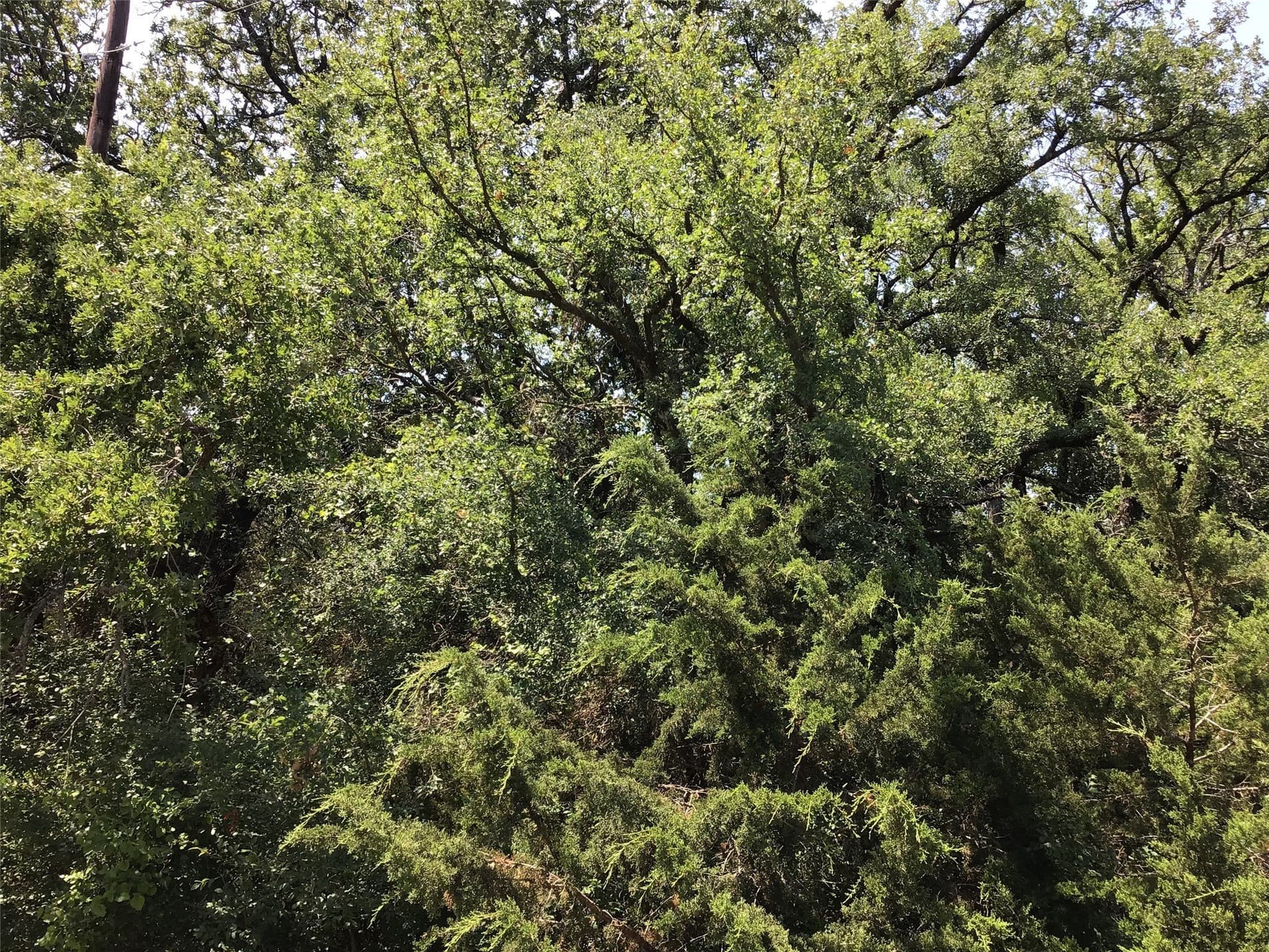 0.7 acres in Hill County - photo 10