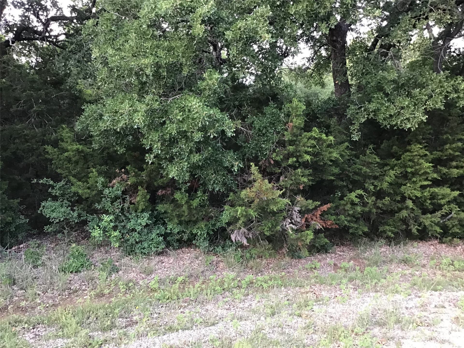 0.7 acres in Hill County featured view