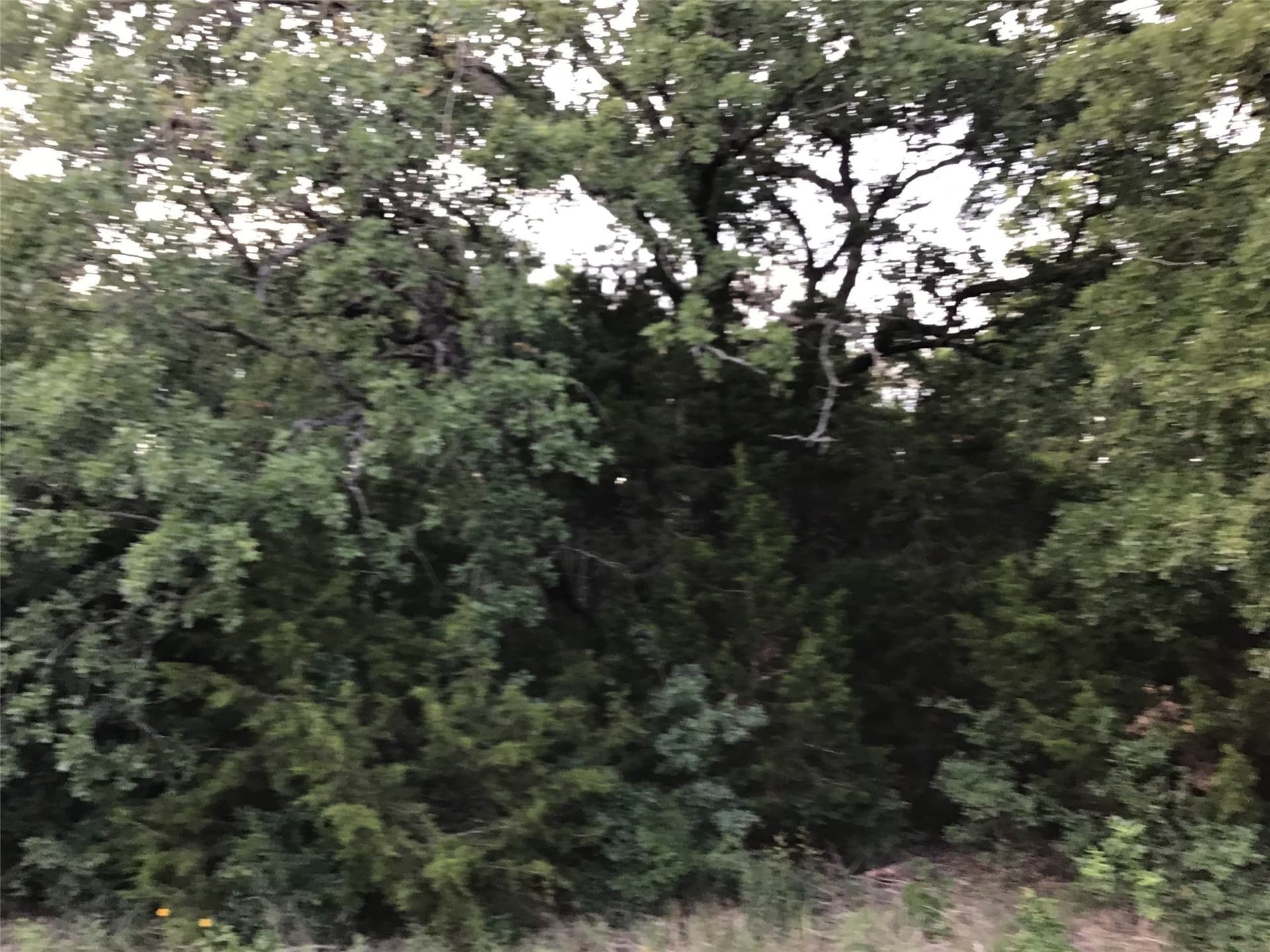 0.7 acres in Hill County gallery image 3