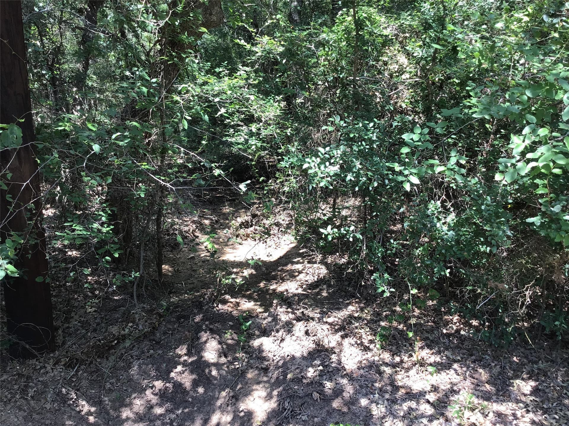 0.7 acres in Hill County - photo 7