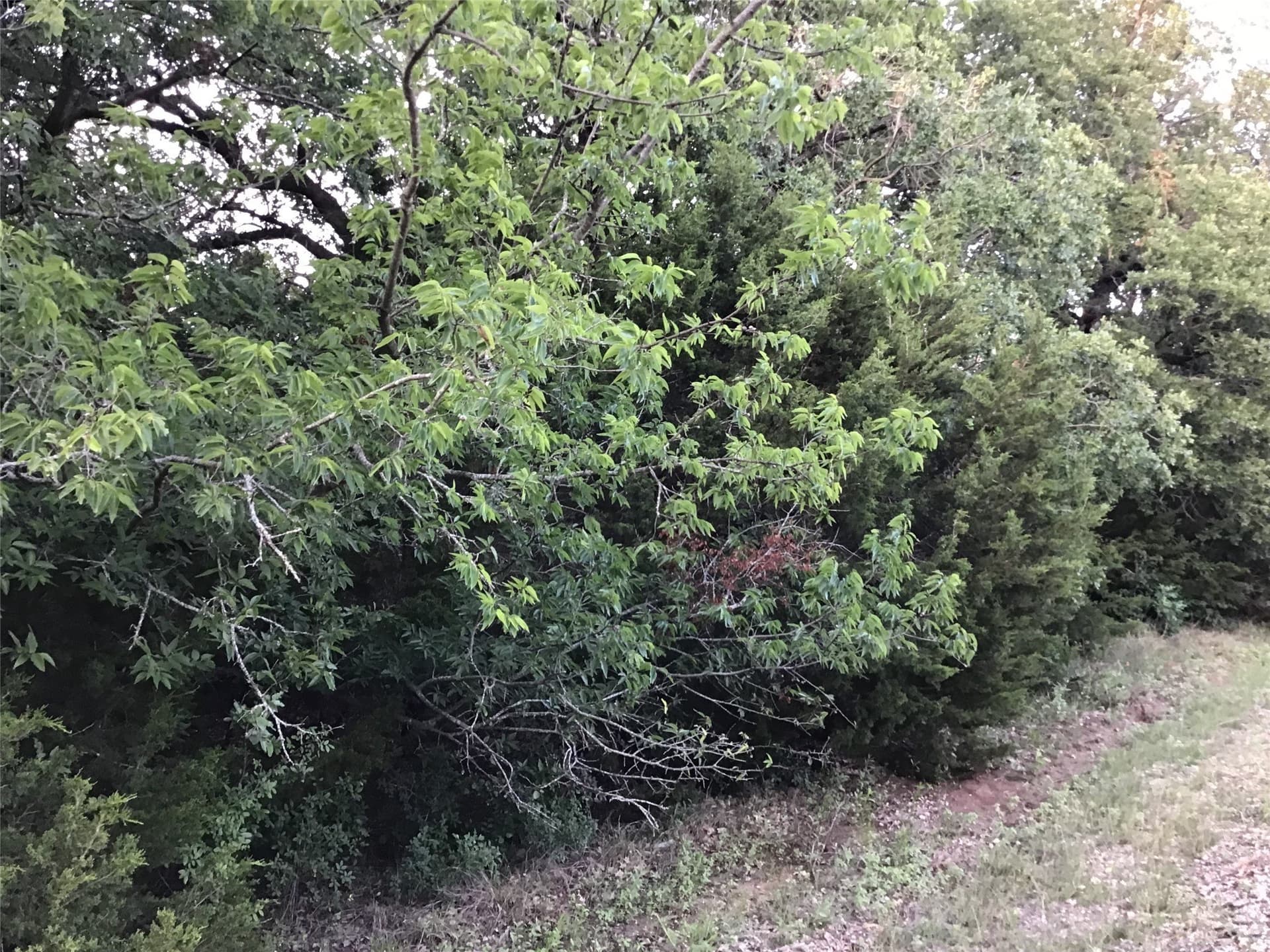 0.7 acres in Hill County