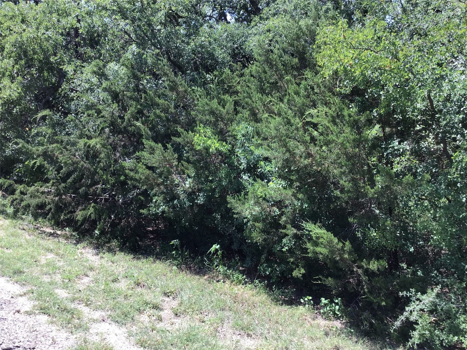 0.7 acres in Hill County - photo 12