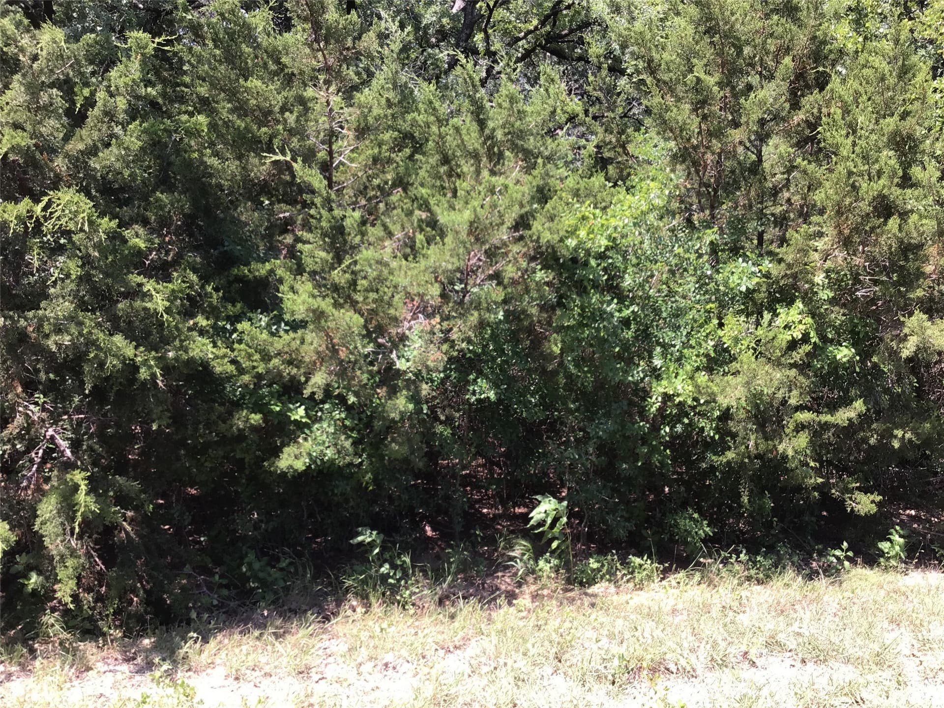 0.7 acres in Hill County - photo 11