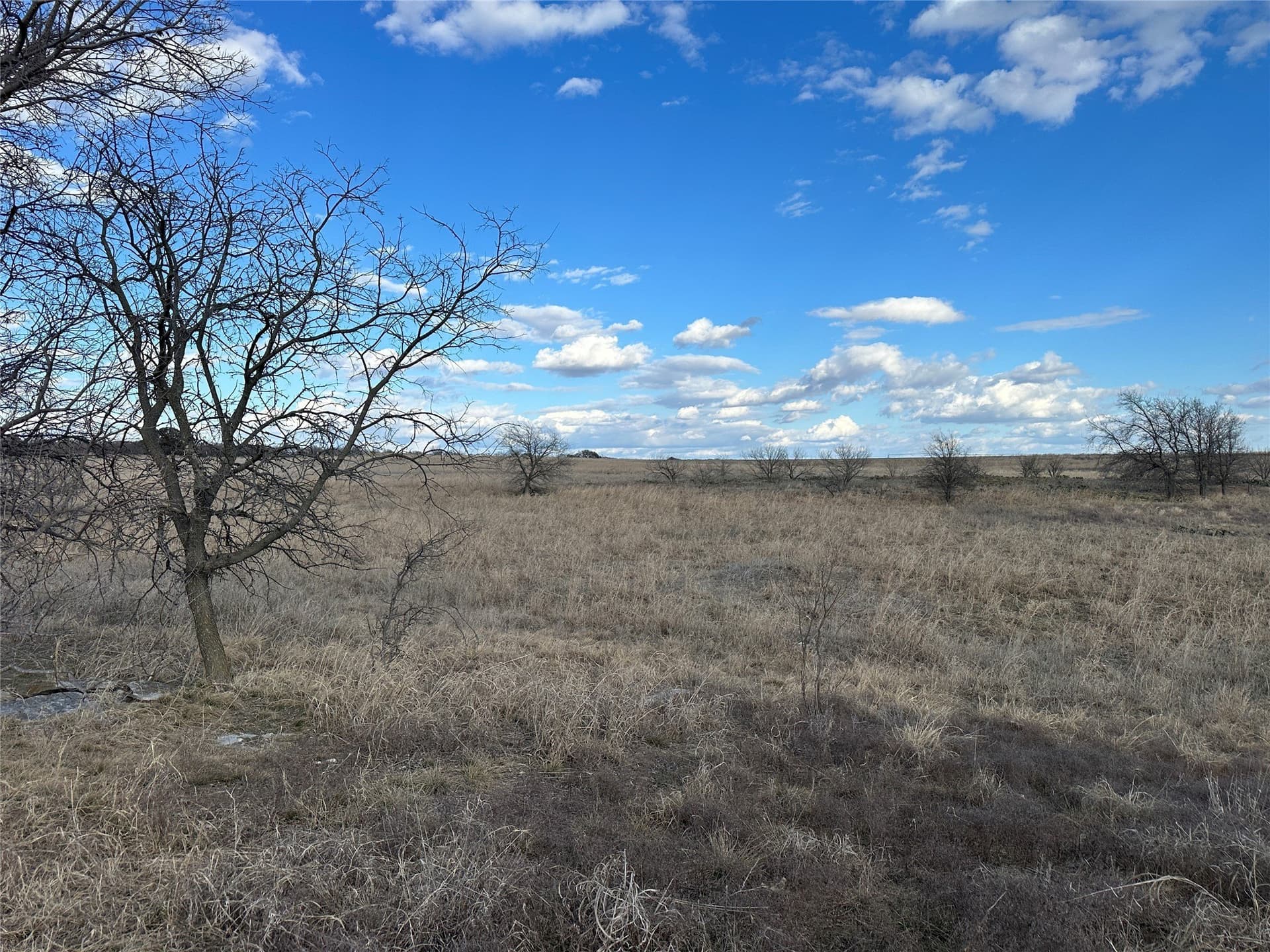 20 acres in Comanche County - photo 7