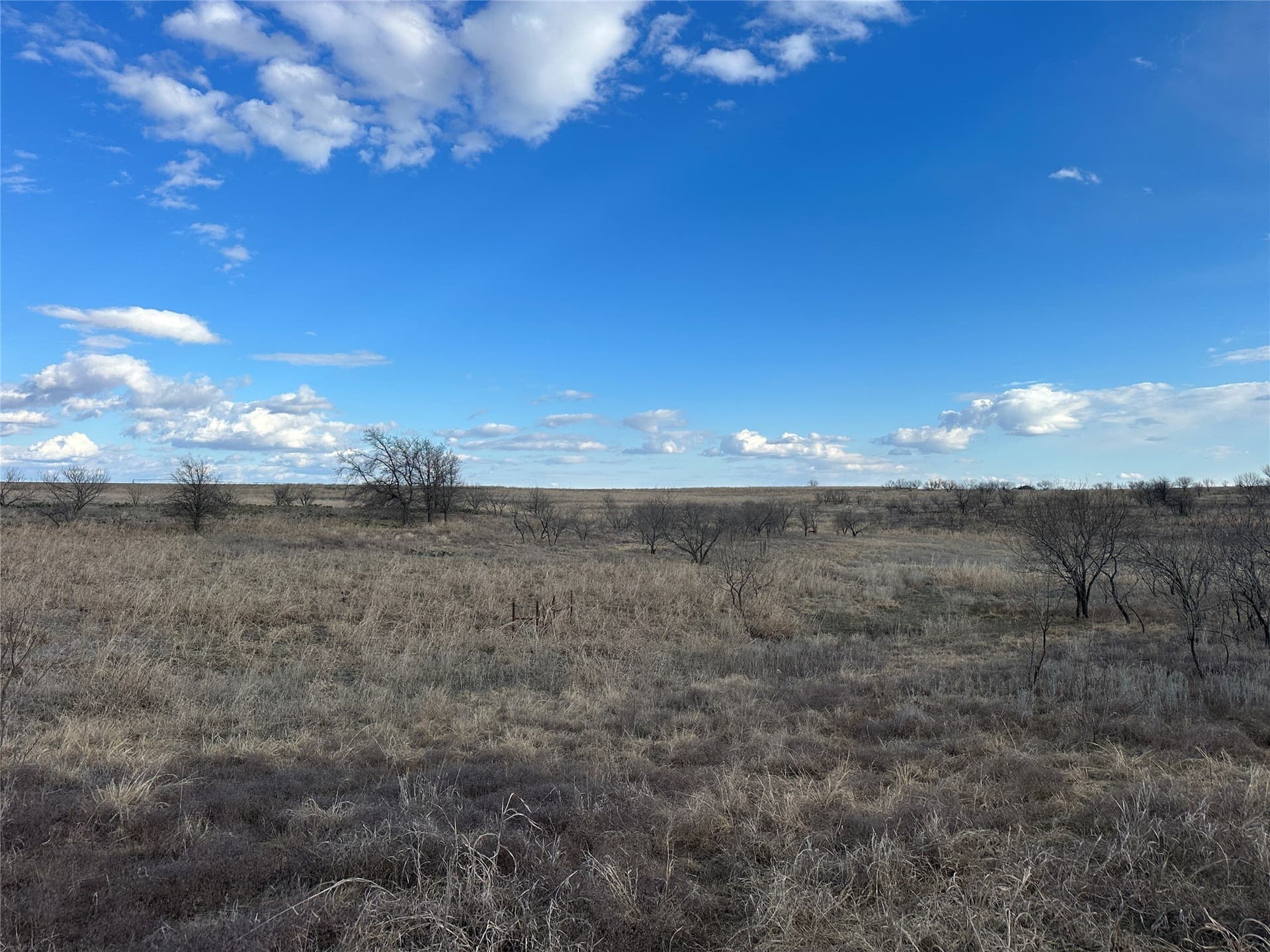 20 acres in Comanche County - photo 6