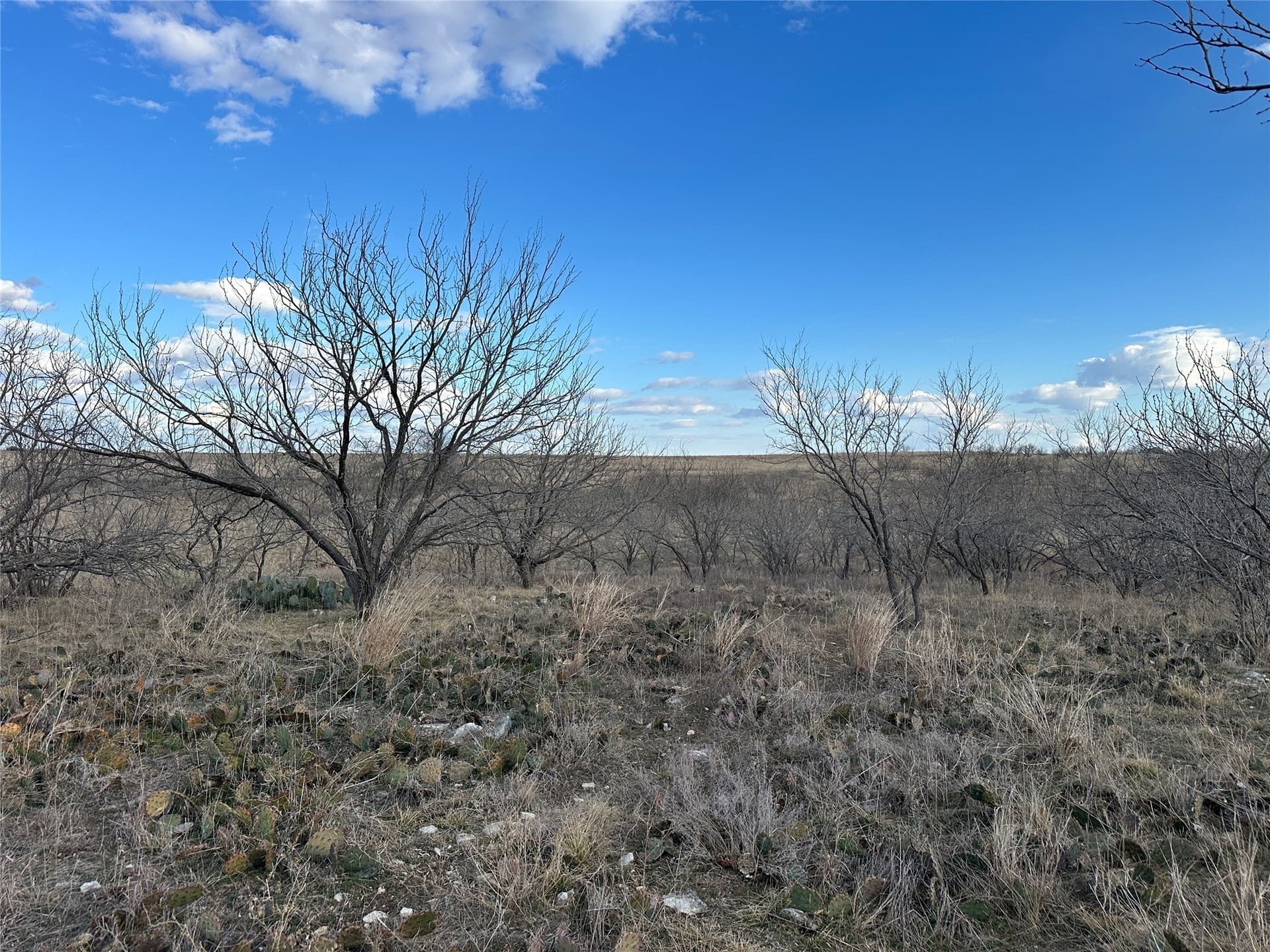 20 acres in Comanche County - photo 9