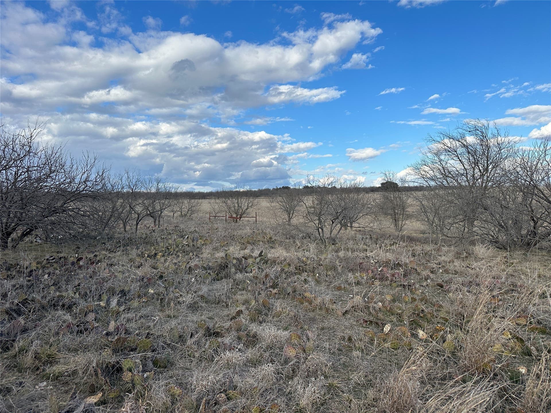 20 acres in Comanche County - photo 5