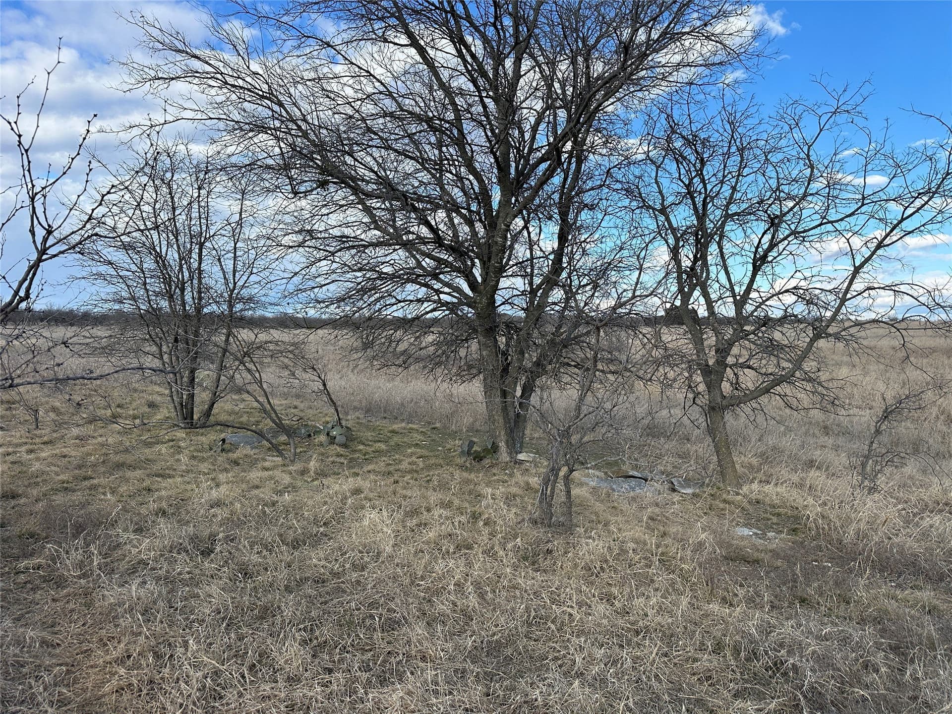 20 acres in Comanche County - photo 8
