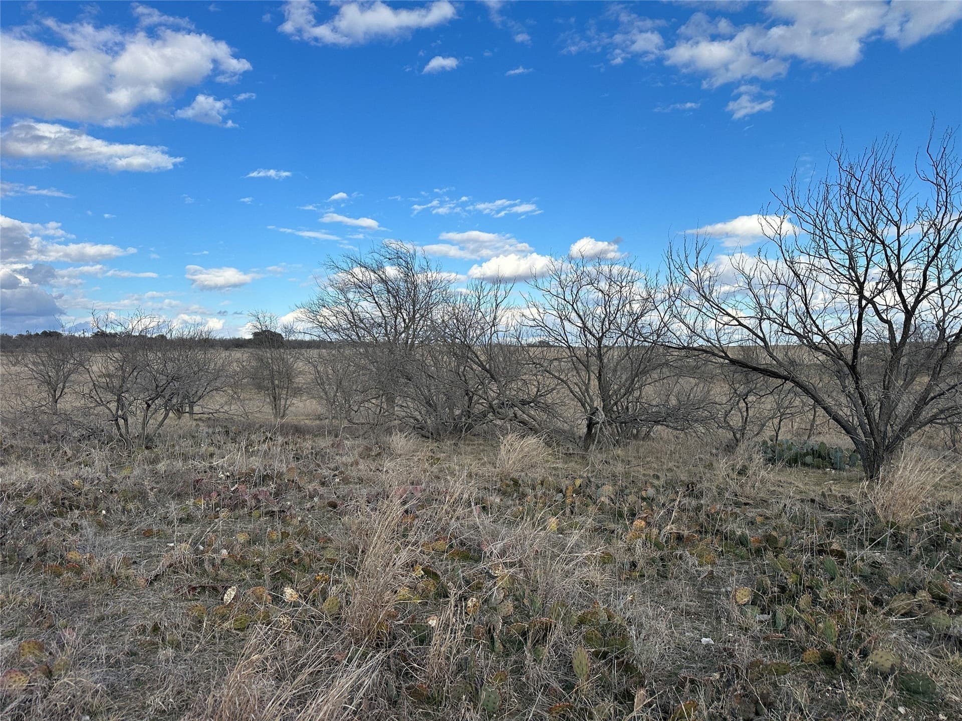 20 acres in Comanche County - photo 4
