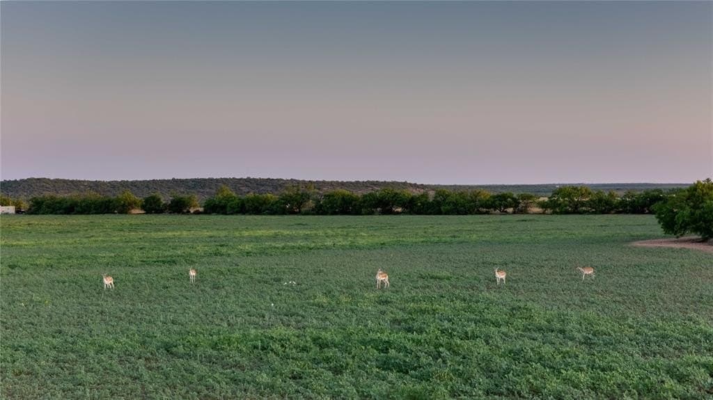 213.3 acres in Coleman County gallery image 4