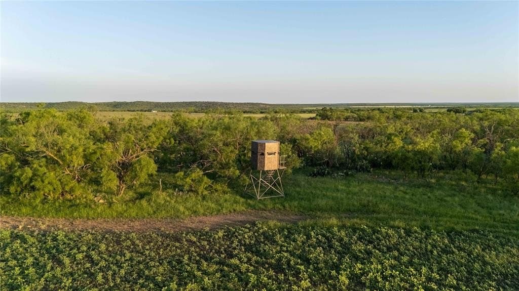 213.3 acres in Coleman County featured view