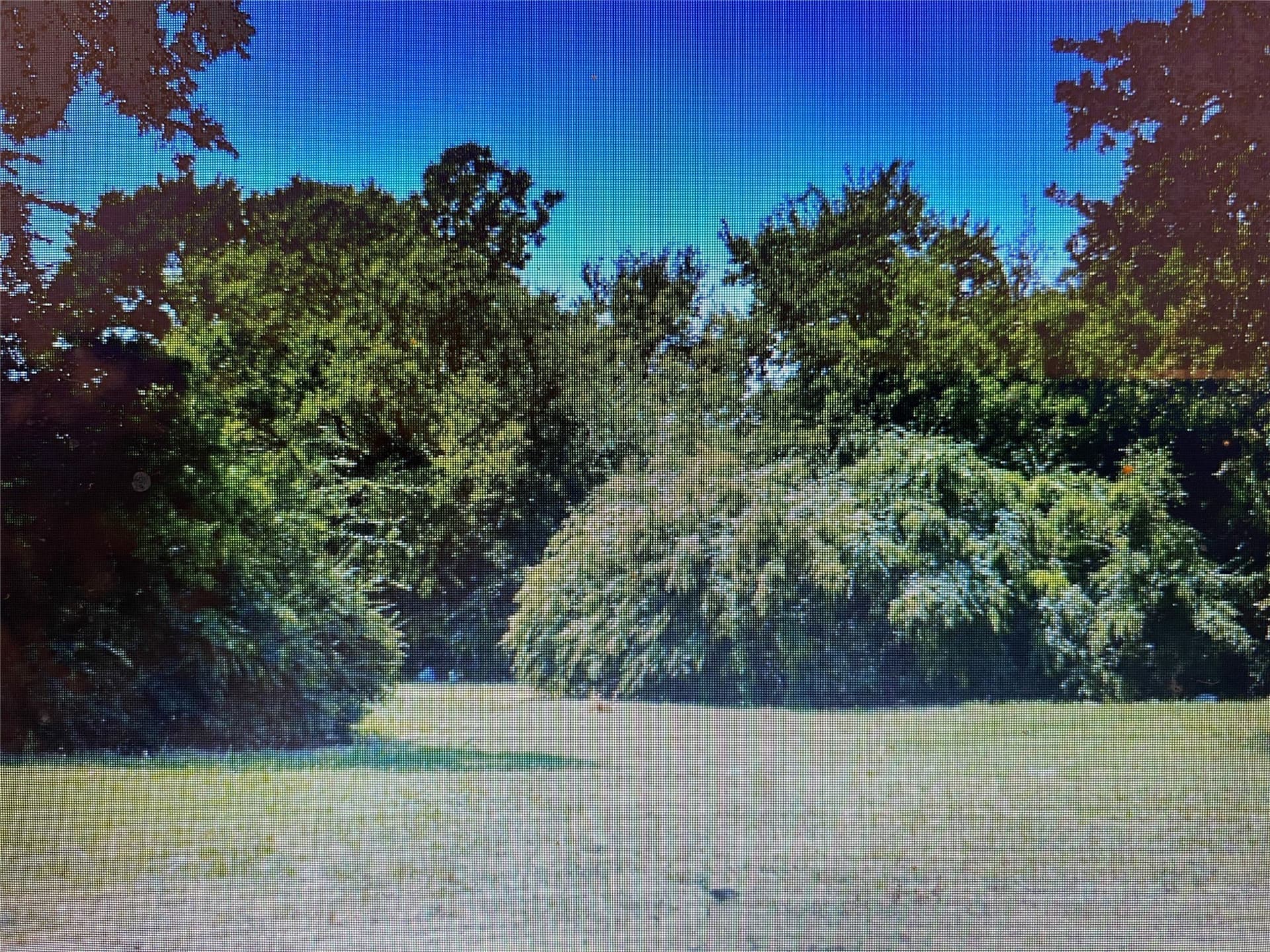 0.37 acres in Dallas County - photo 3