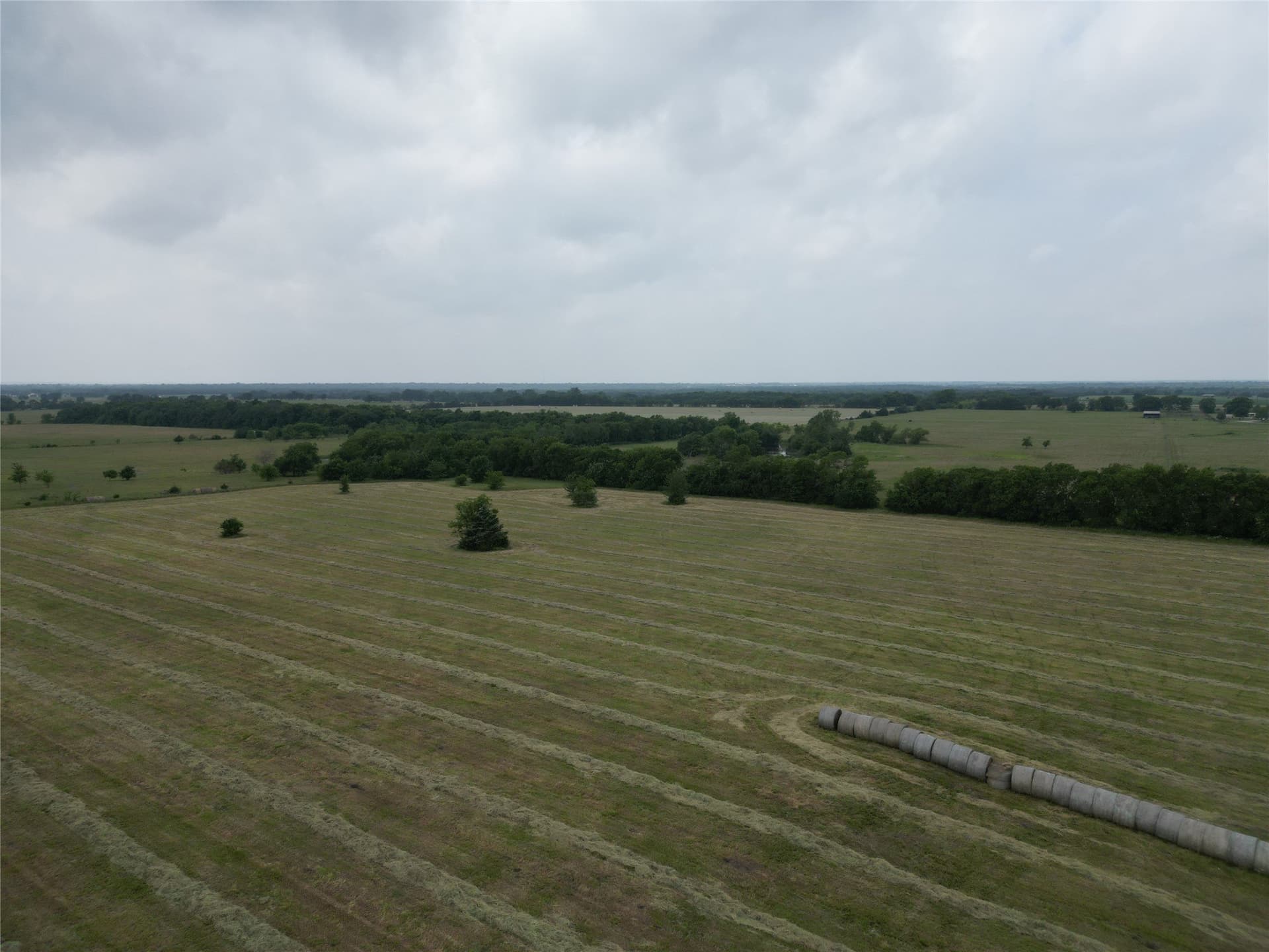 10.04 acres in Delta County gallery image 4