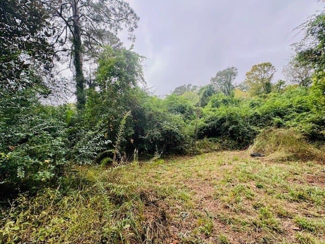 5.42 acres in Texas County gallery image 4
