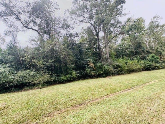 5.42 acres in Texas County gallery image 3