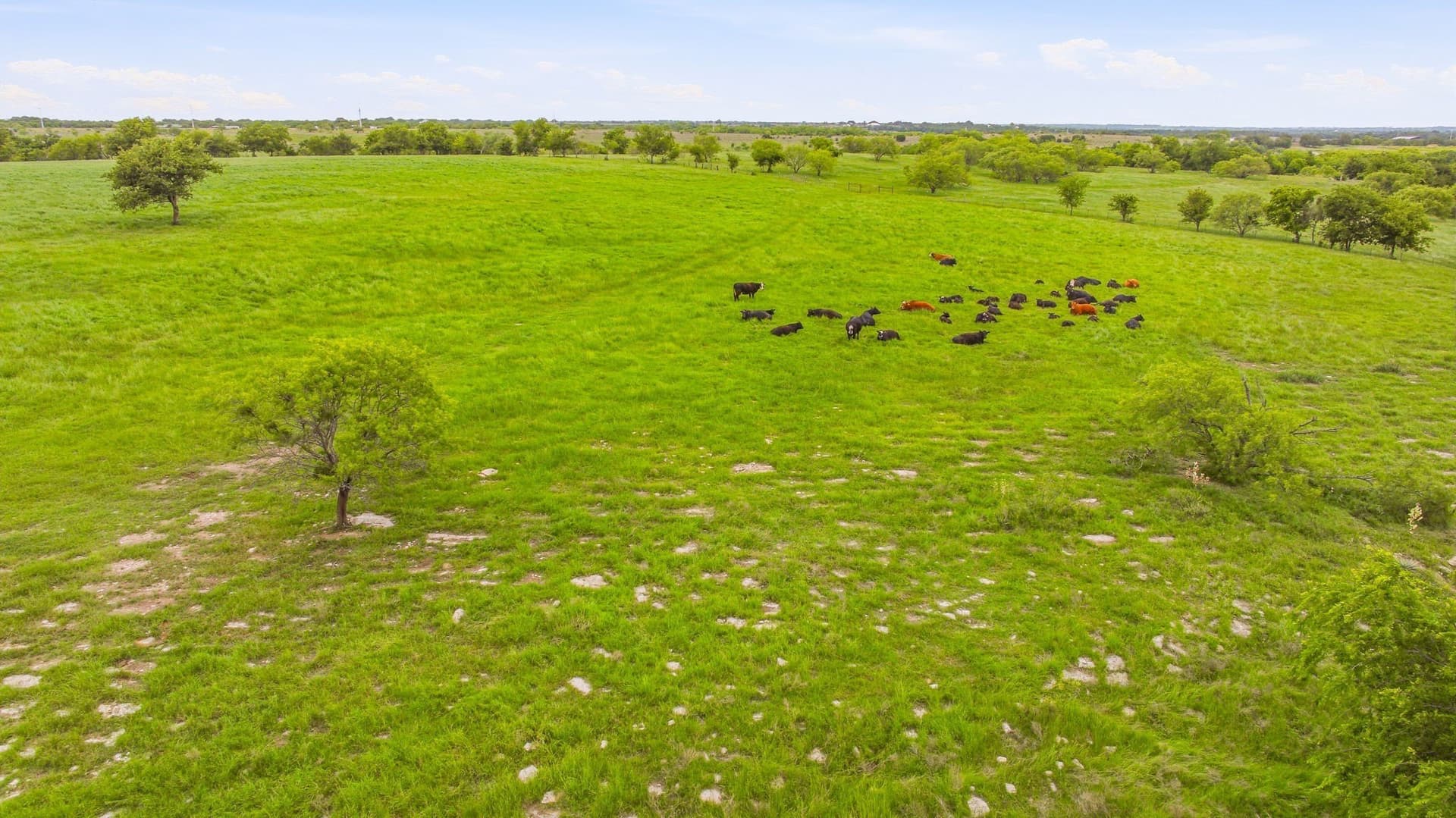 108.91 acres in Erath County - photo 35