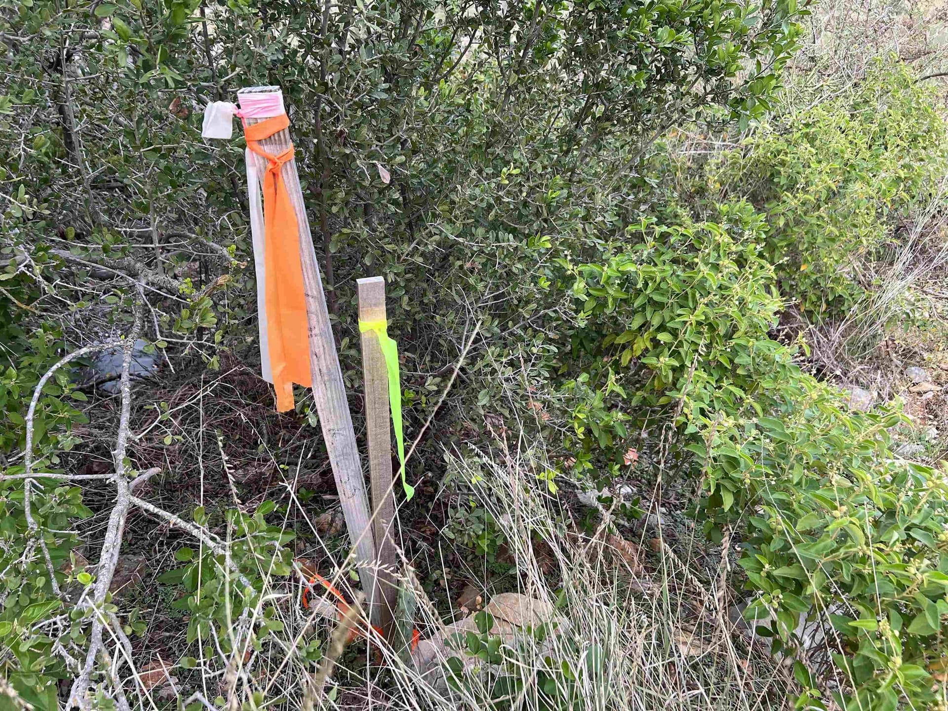0.44 acres in Burnet County - photo 10