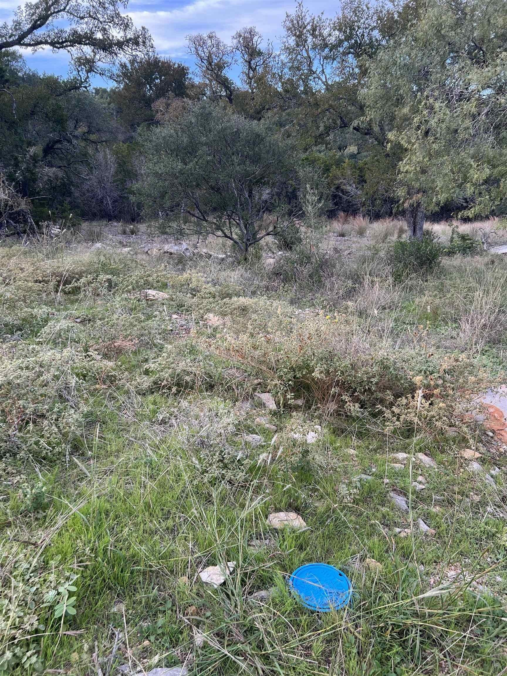 0.44 acres in Burnet County gallery image 2