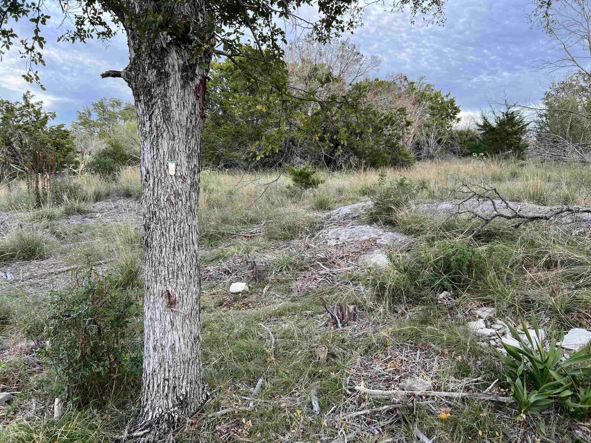 0.44 acres in Burnet County gallery image 4