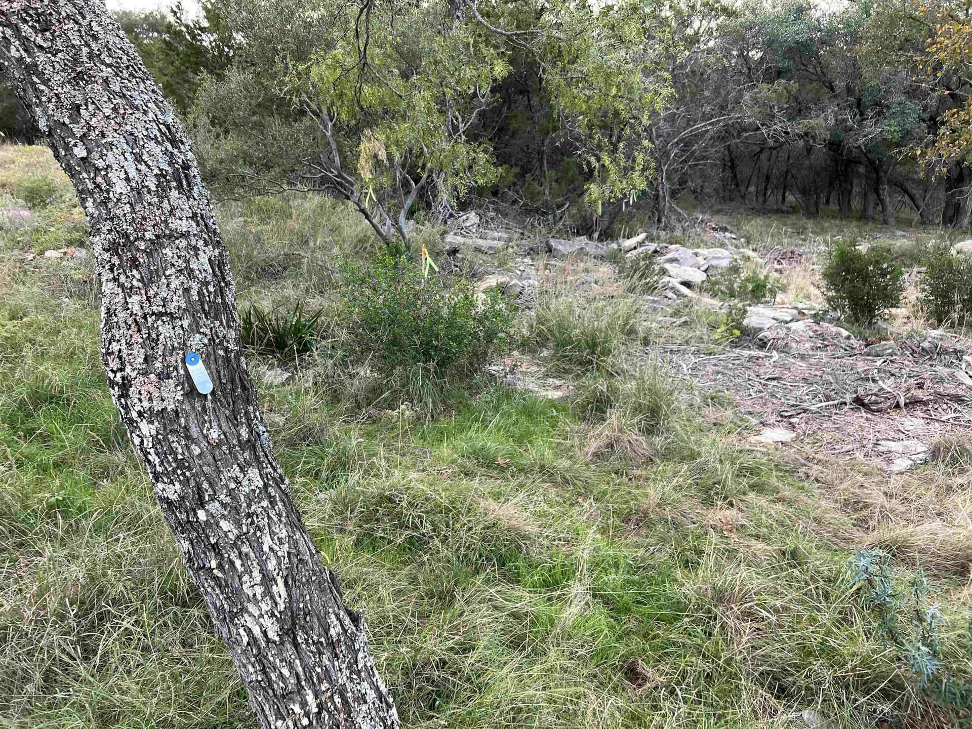 0.44 acres in Burnet County - photo 8