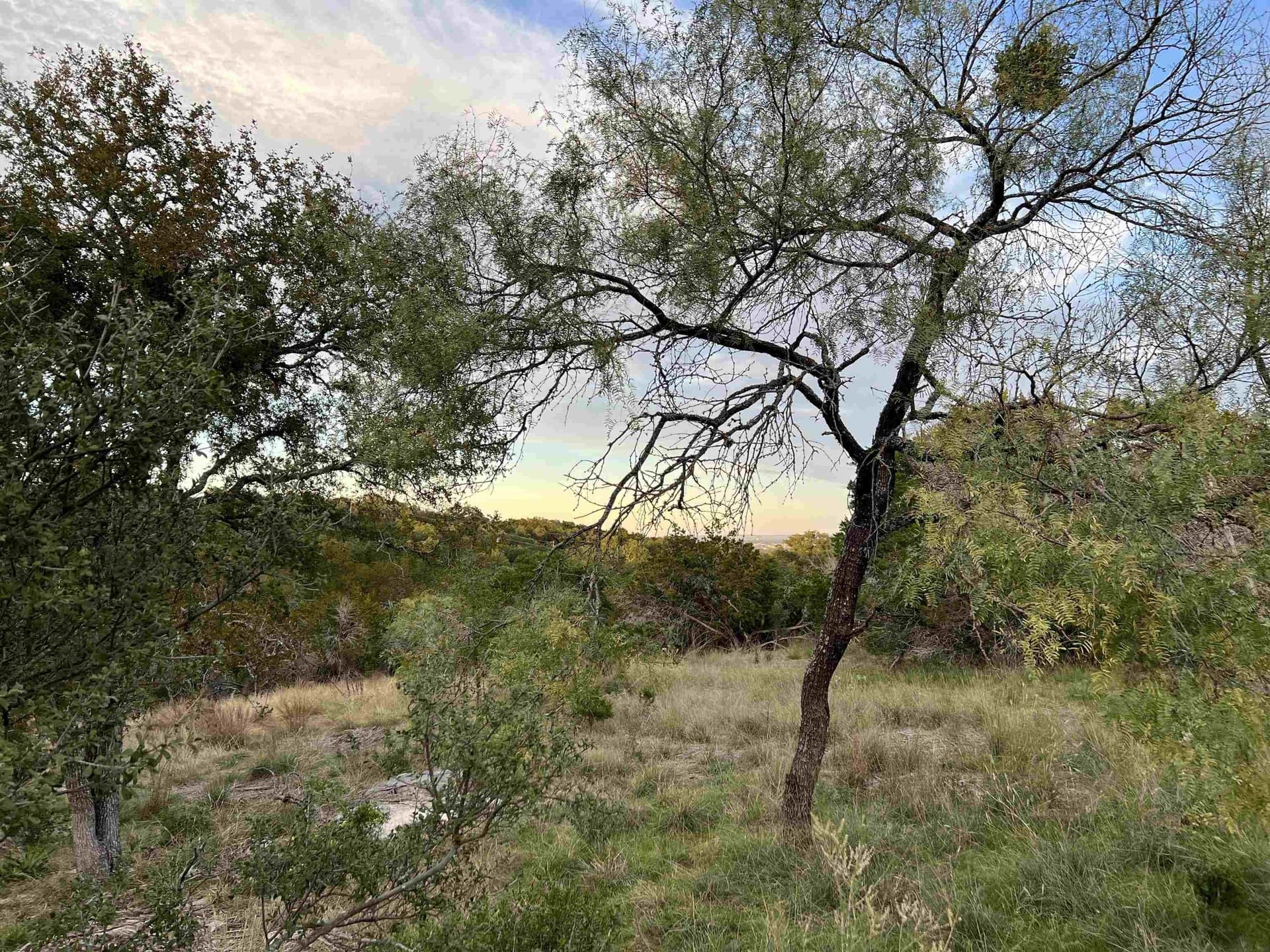 0.44 acres in Burnet County - photo 11
