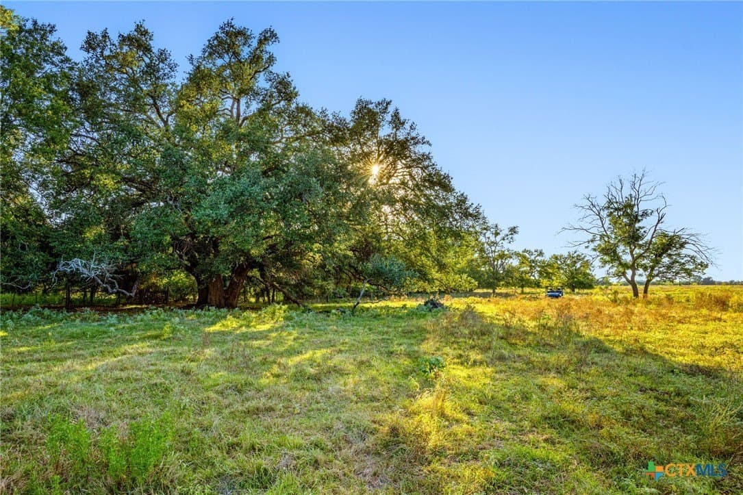 52.63 acres in Bell County gallery image 4