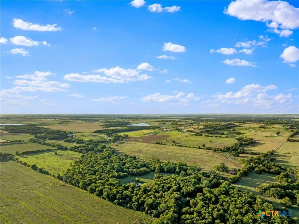 52.63 acres in Bell County gallery image 2