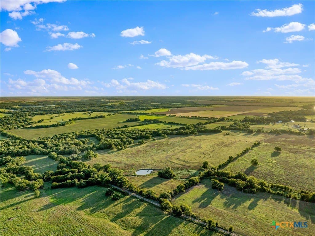 52.63 acres in Bell County gallery image 3