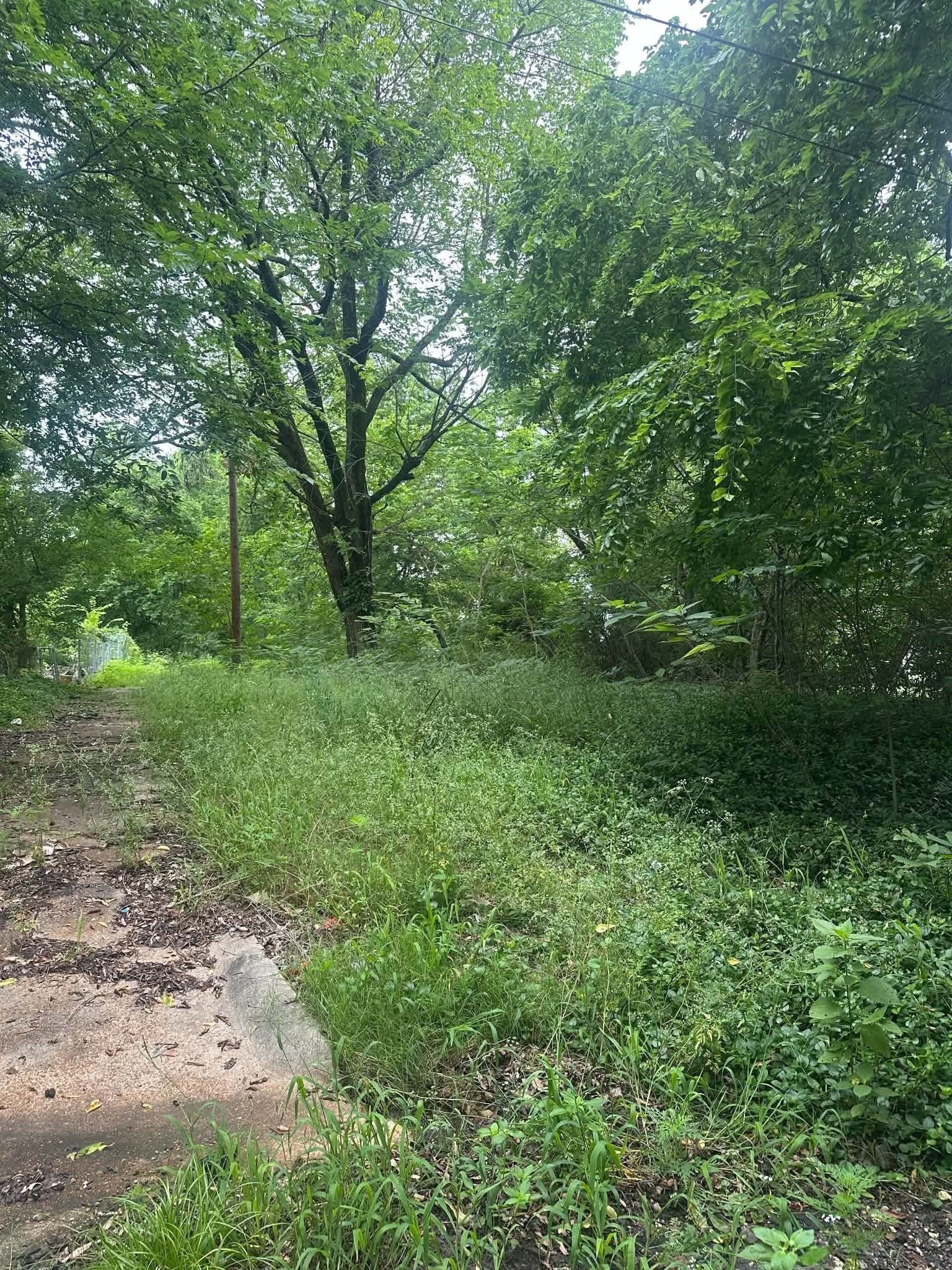 0.13 acres in Lamar County gallery image 2