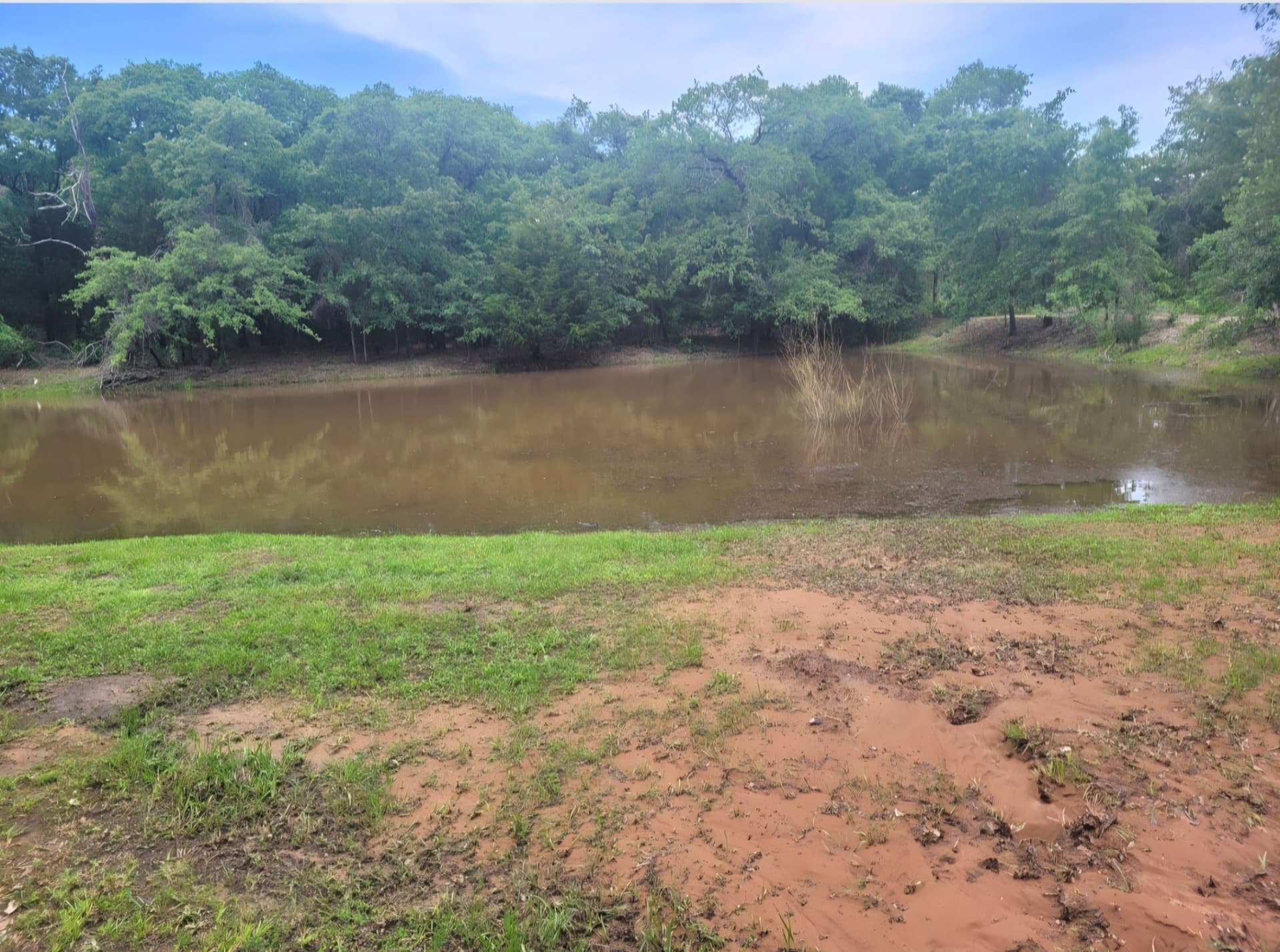 9.95 acres in Hill County - photo 17
