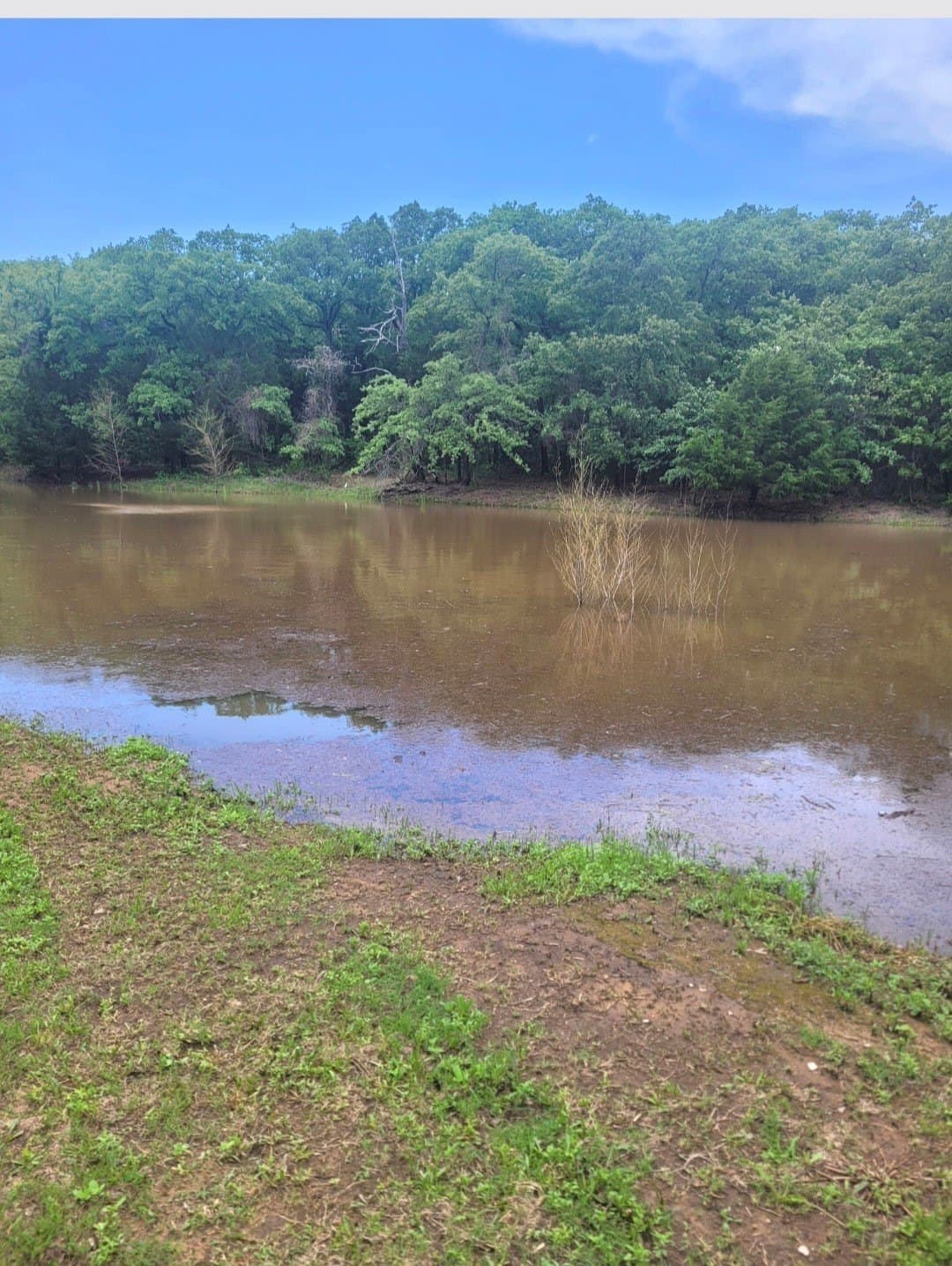 9.95 acres in Hill County - photo 16