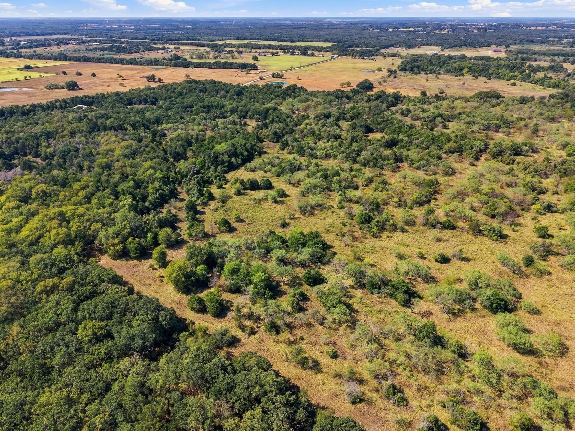 20 acres in Hill County - photo 9