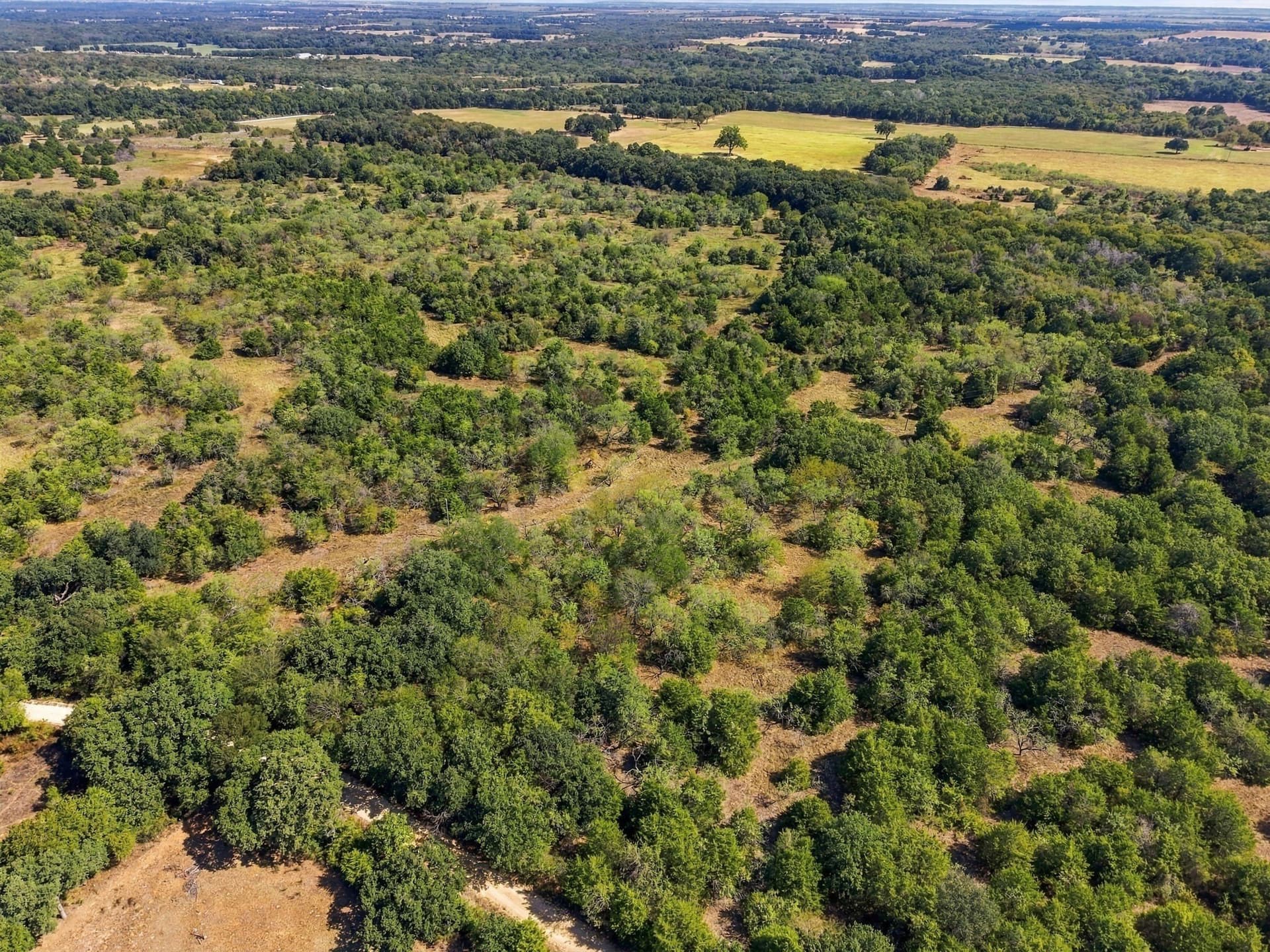 20 acres in Hill County - photo 5