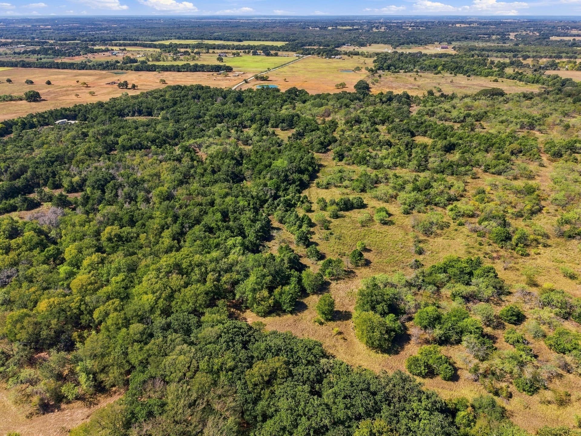 20 acres in Hill County - photo 10
