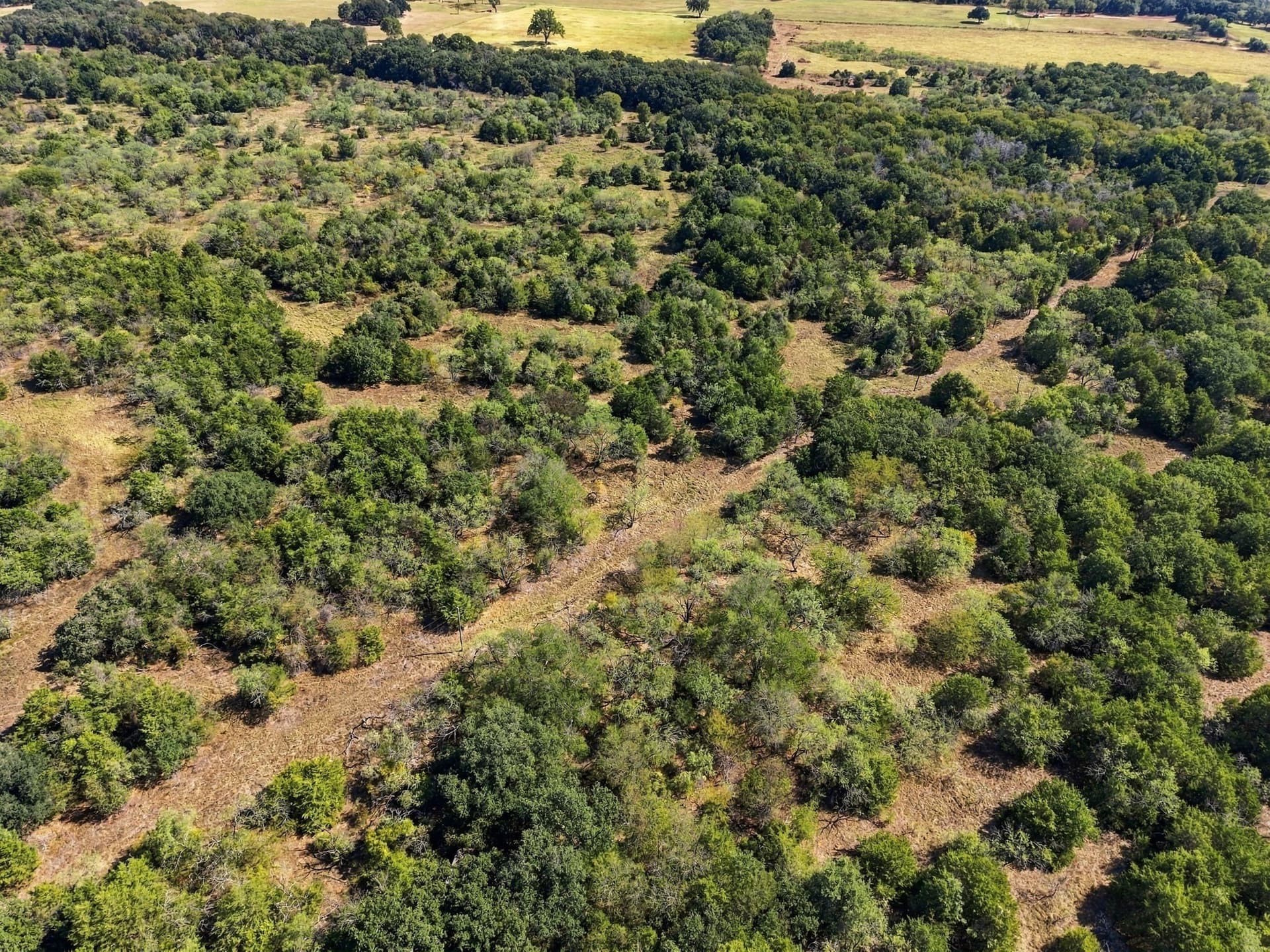 20 acres in Hill County - photo 6