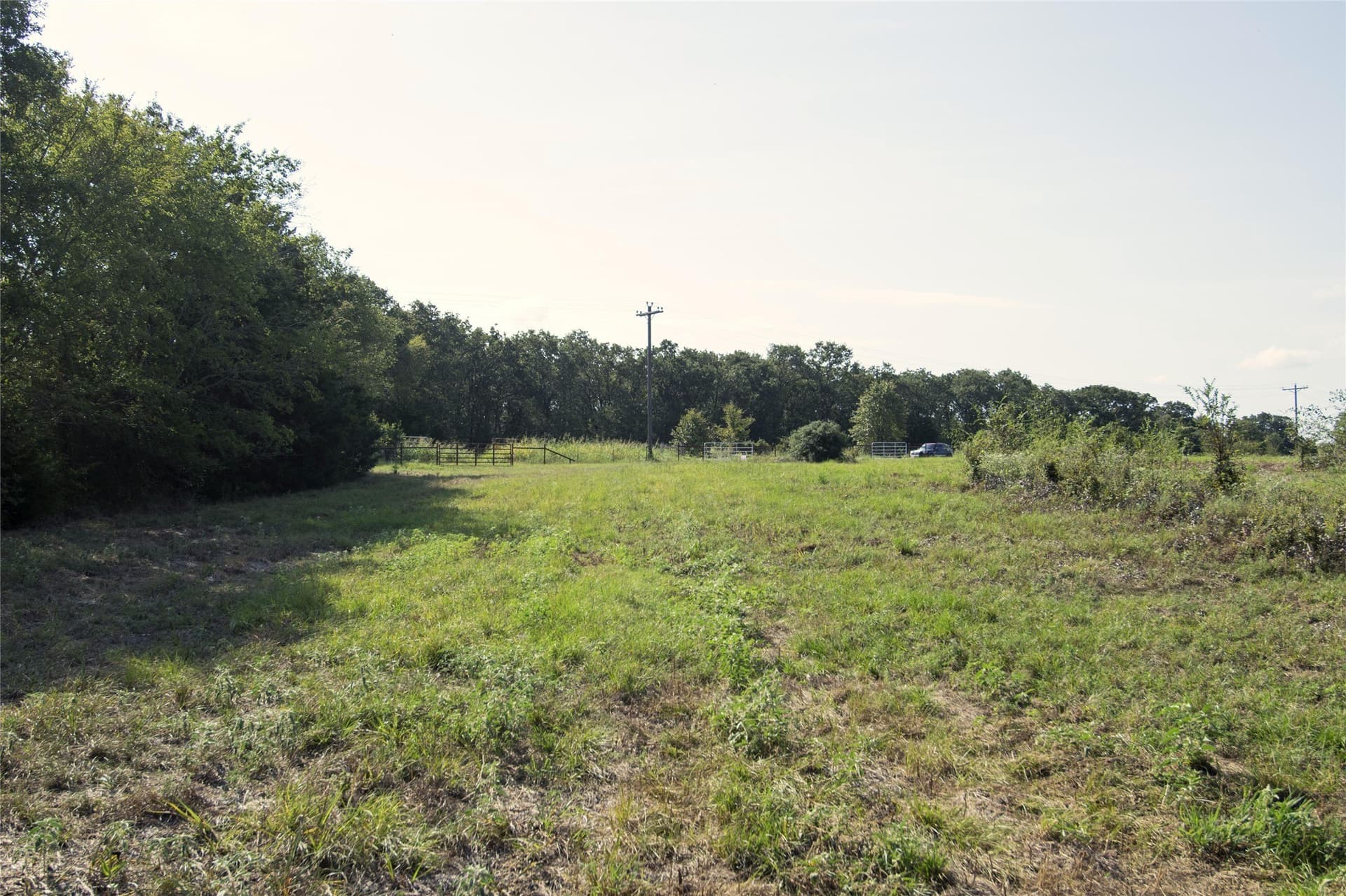 1.06 acres in Limestone County - photo 9