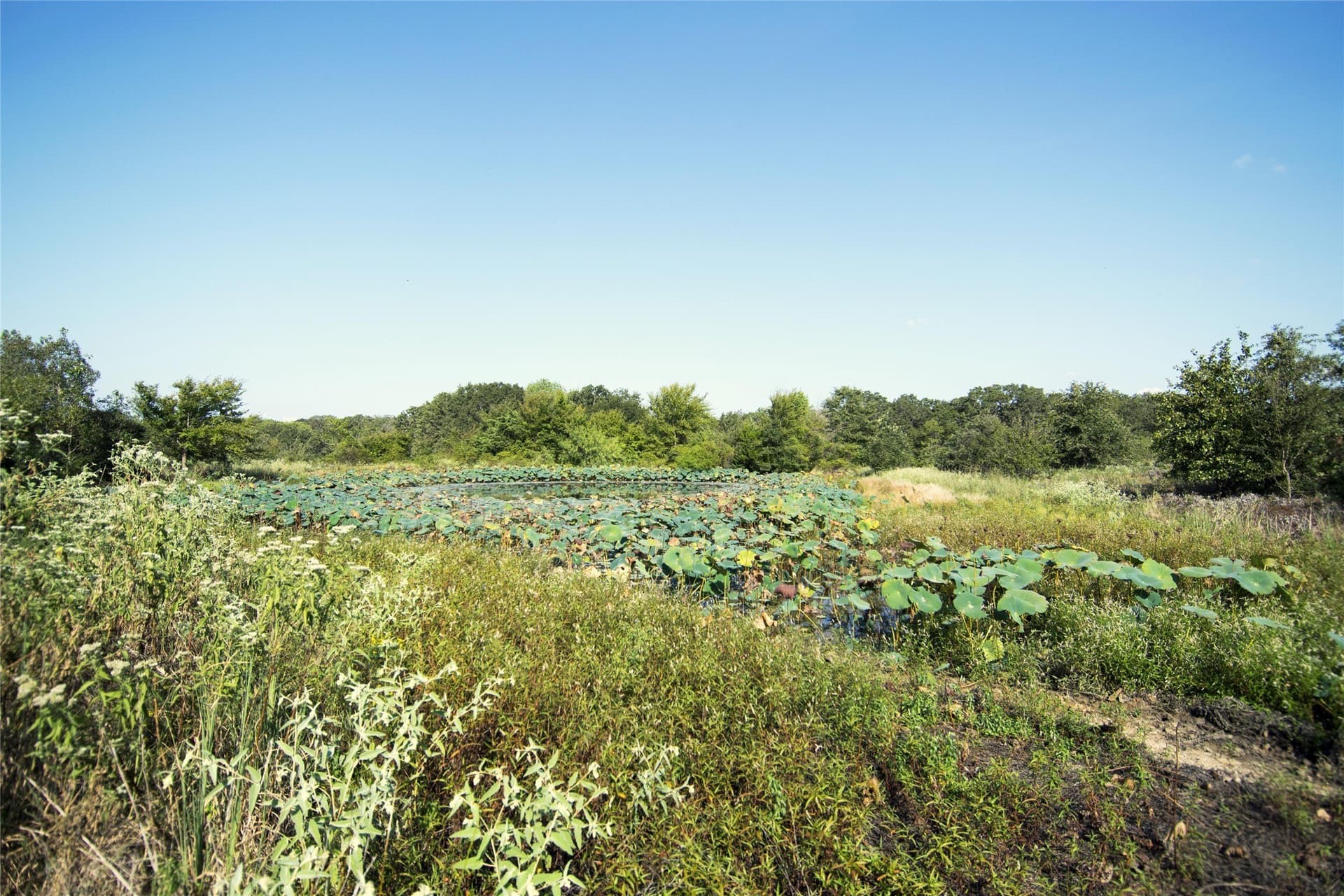1.06 acres in Limestone County - photo 8
