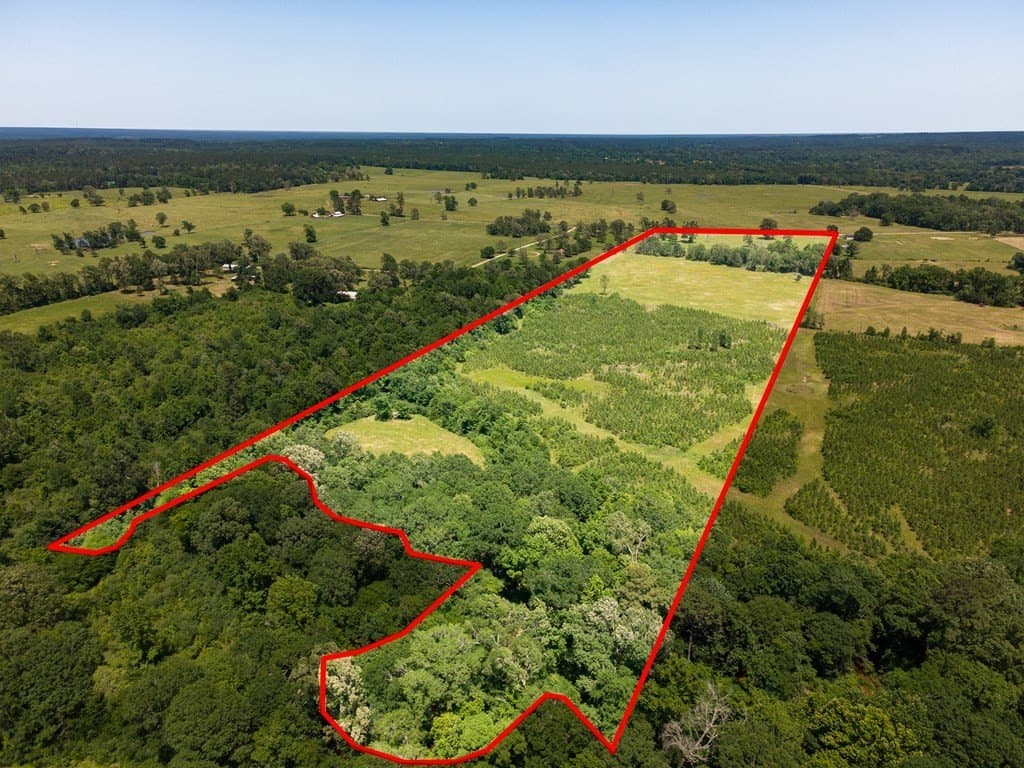 41.72 acres in Texas County gallery image 4