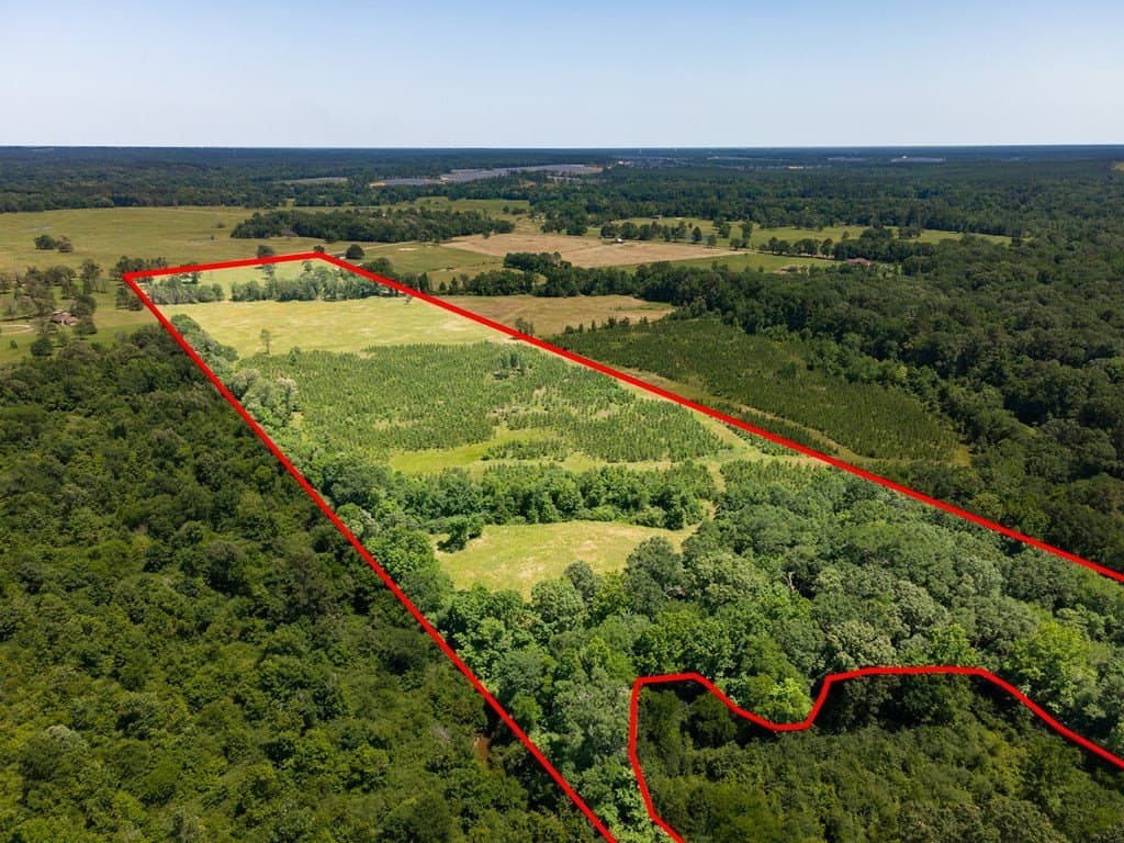 41.72 acres in Texas County gallery image 3