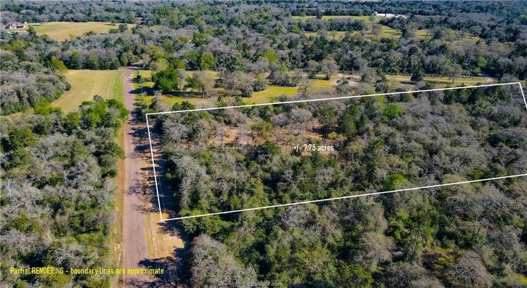 14.98 acres in Burleson County gallery image 2