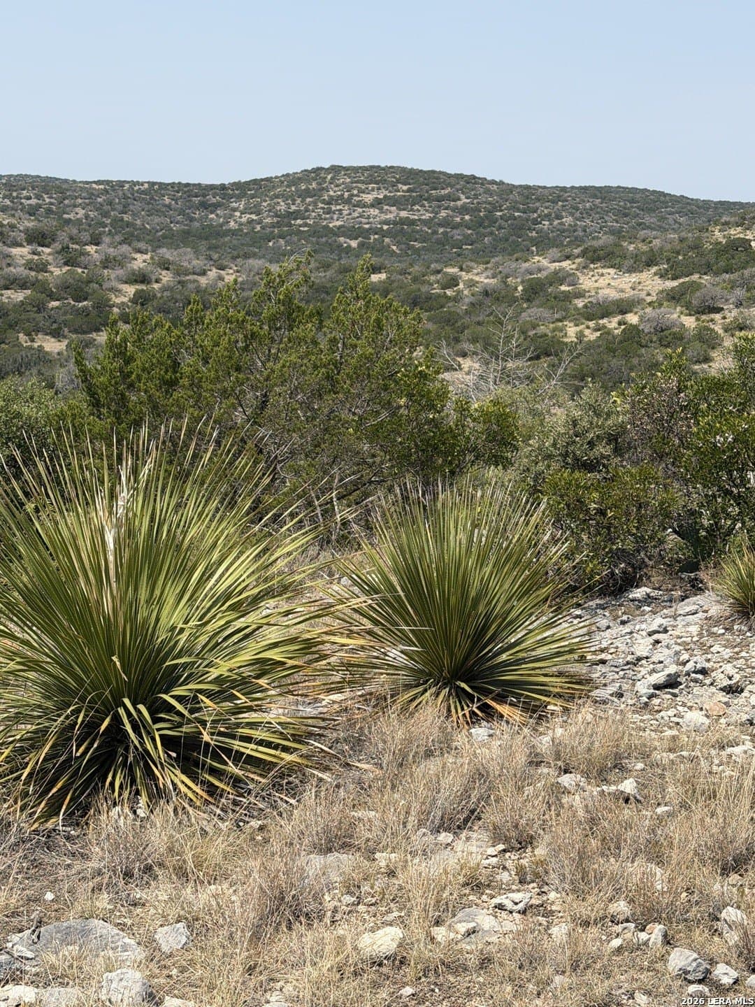 64.57 acres in Edwards County - photo 2