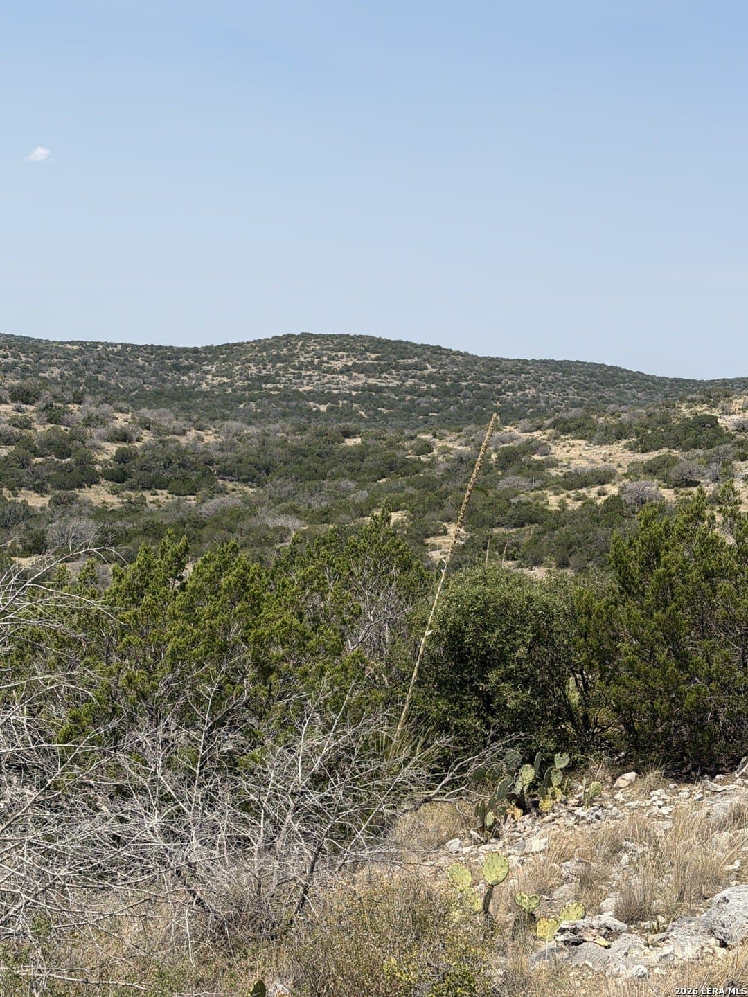 64.57 acres in Edwards County - photo 4
