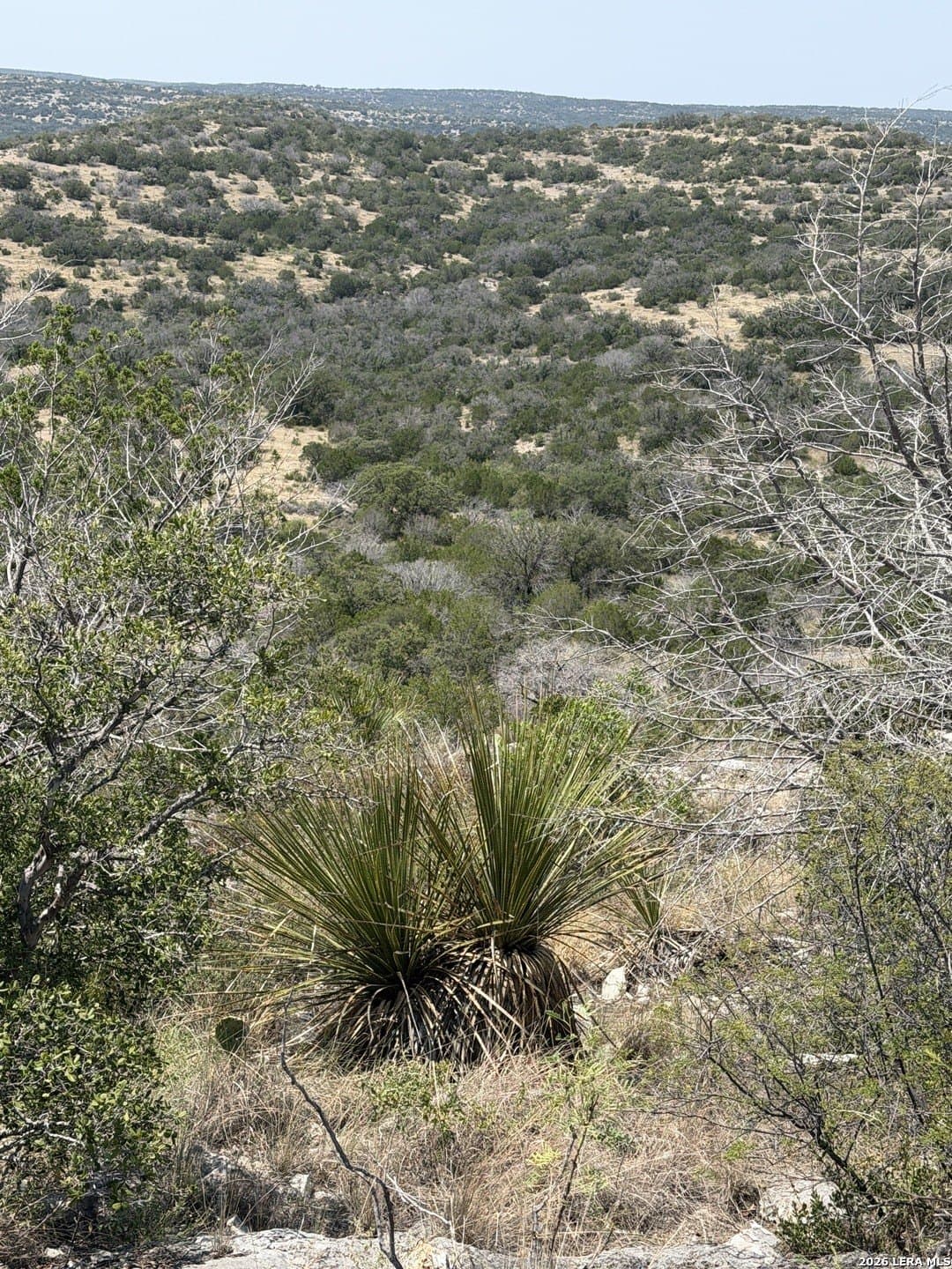 64.57 acres in Edwards County - photo 3