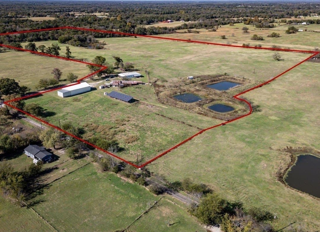 65 acres in Rains County gallery image 2