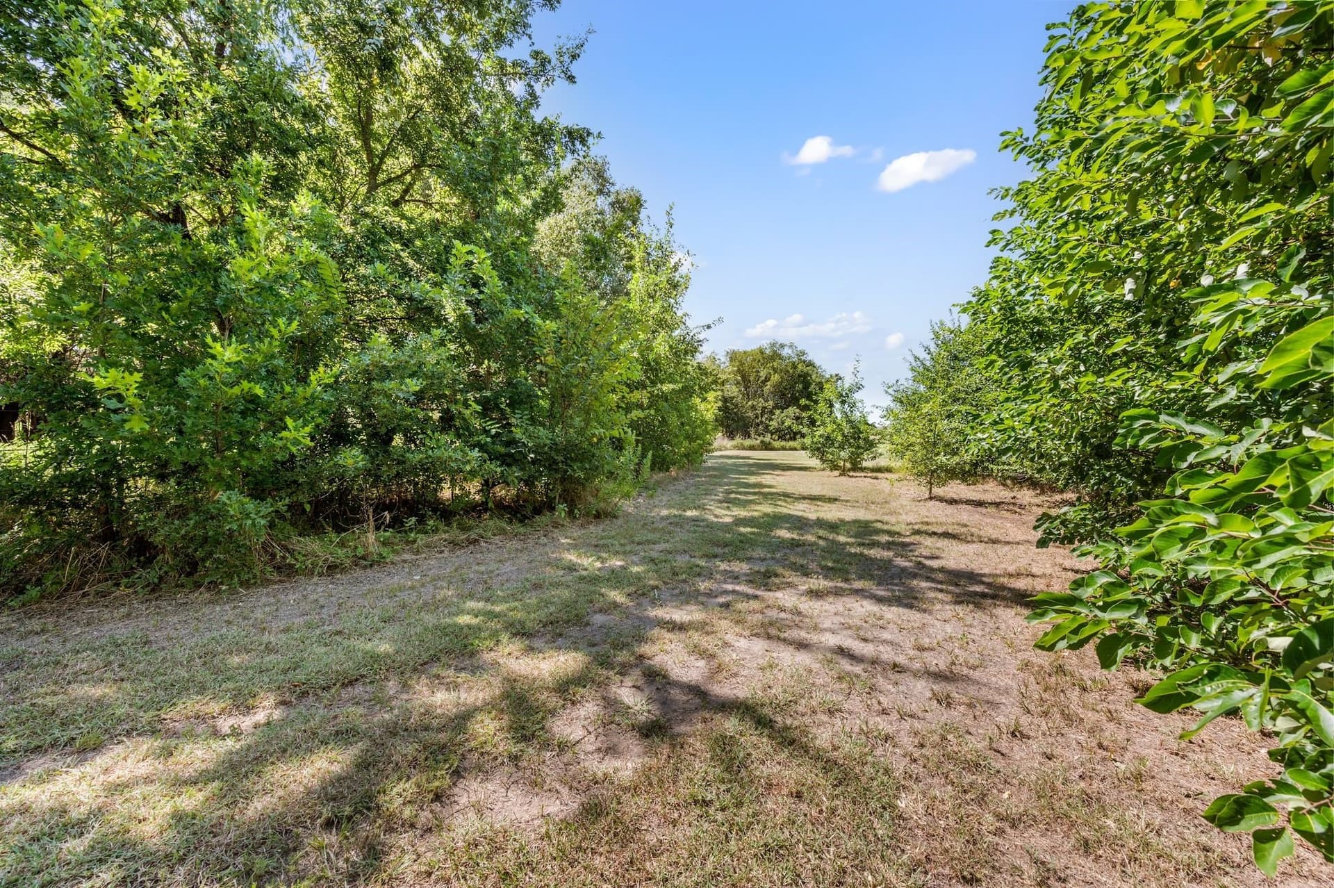 5.02 acres in Tarrant County - photo 12