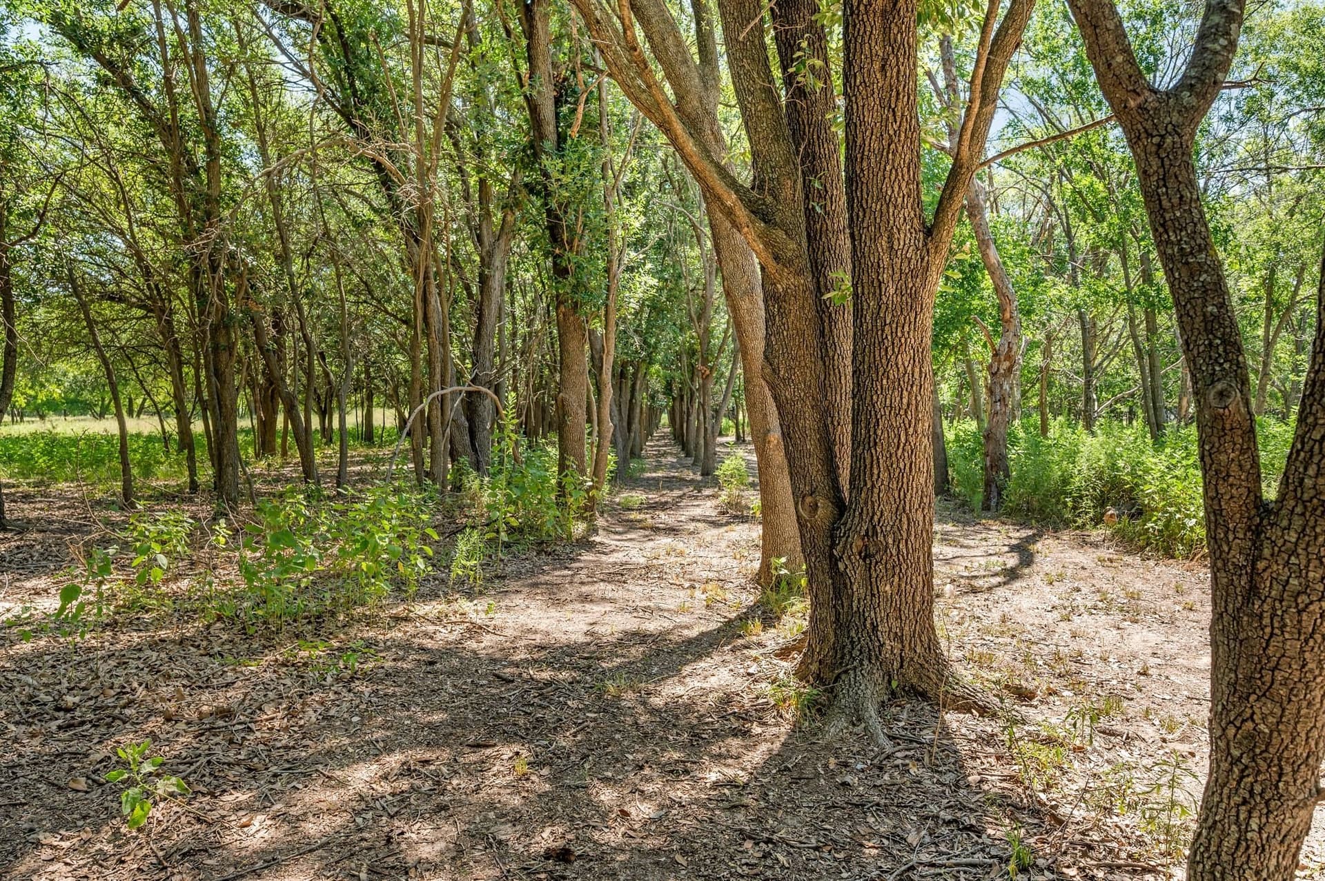 5.02 acres in Tarrant County - photo 17