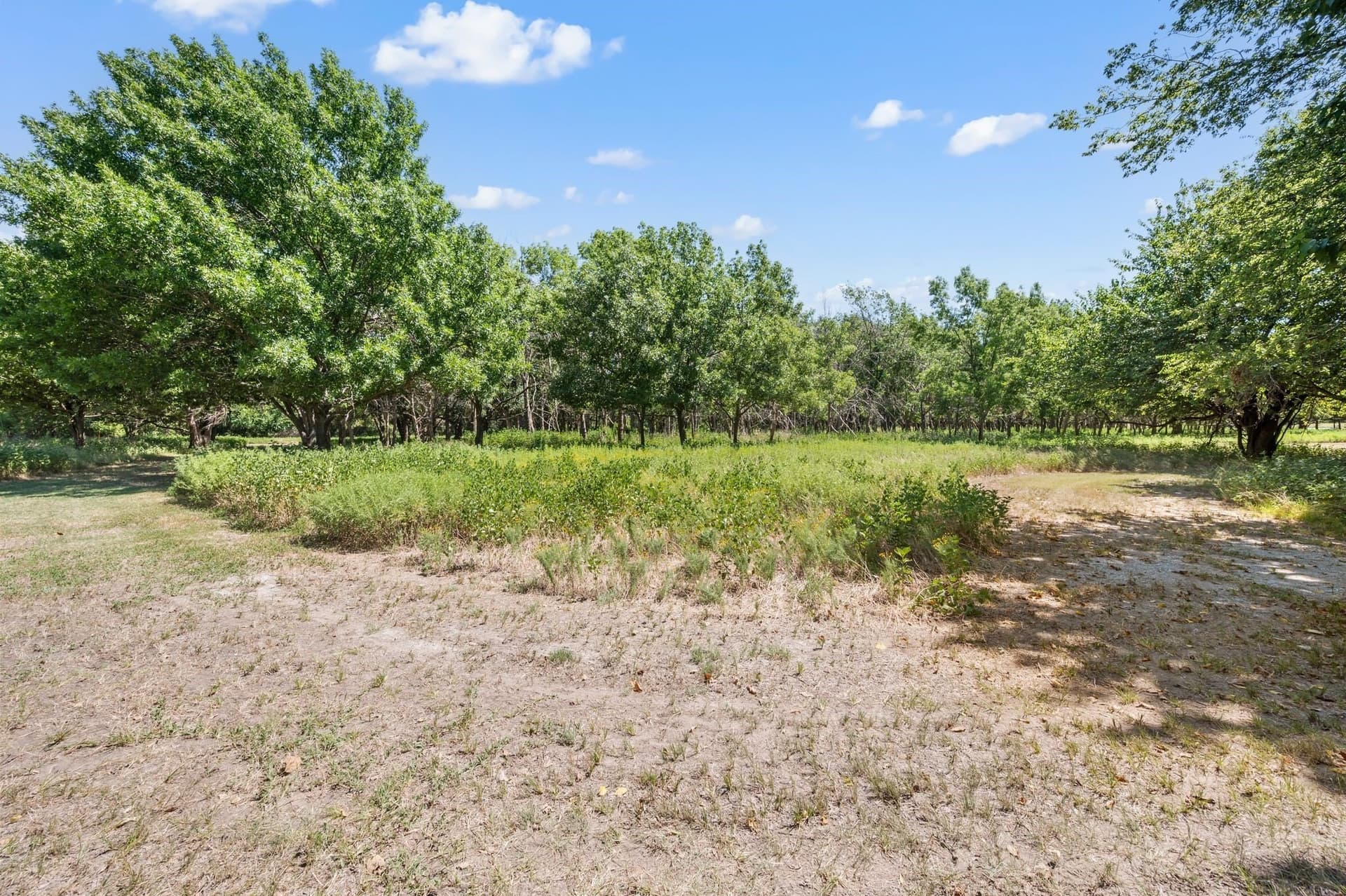 5.02 acres in Tarrant County - photo 10