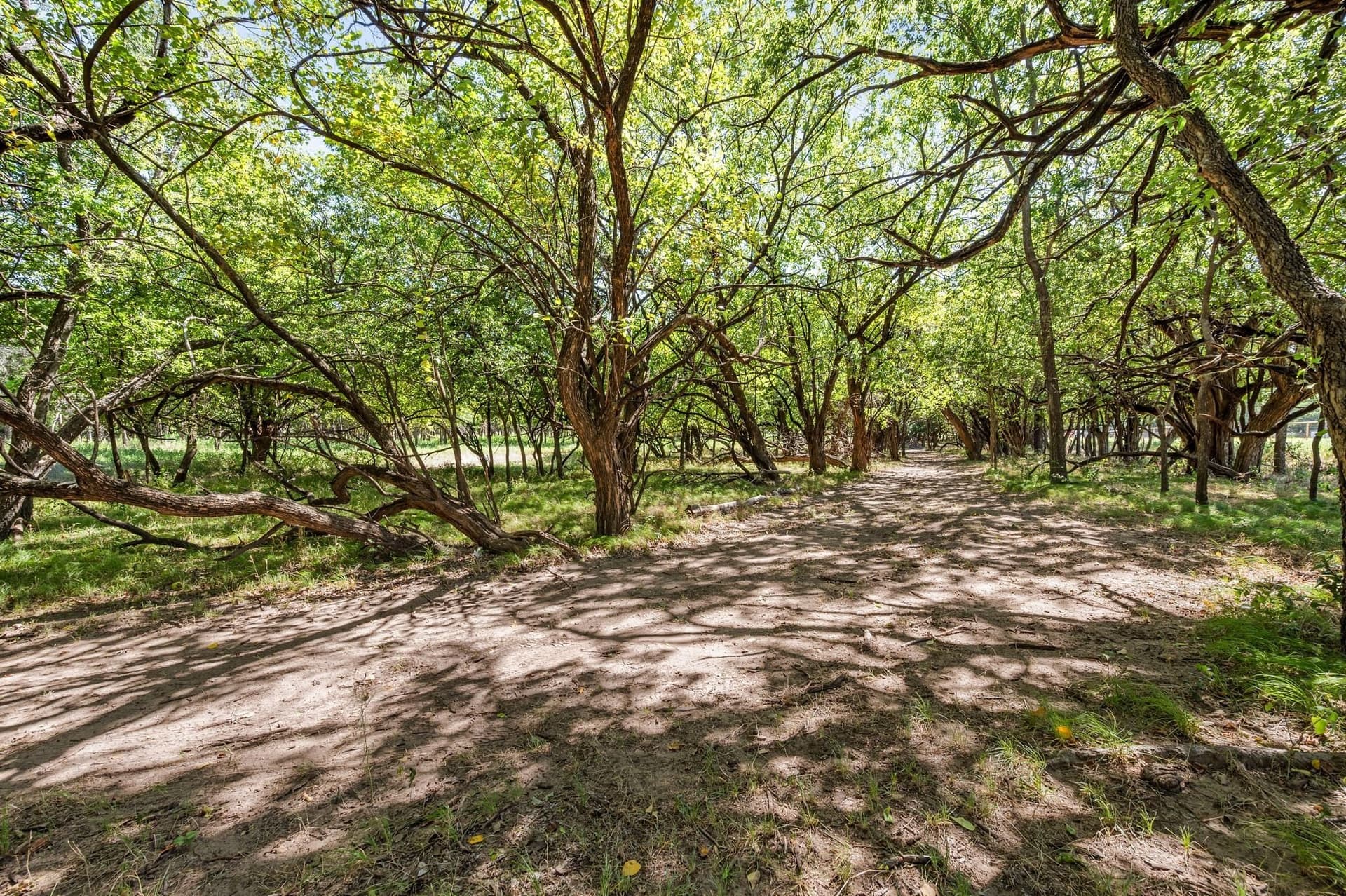 5.02 acres in Tarrant County - photo 16