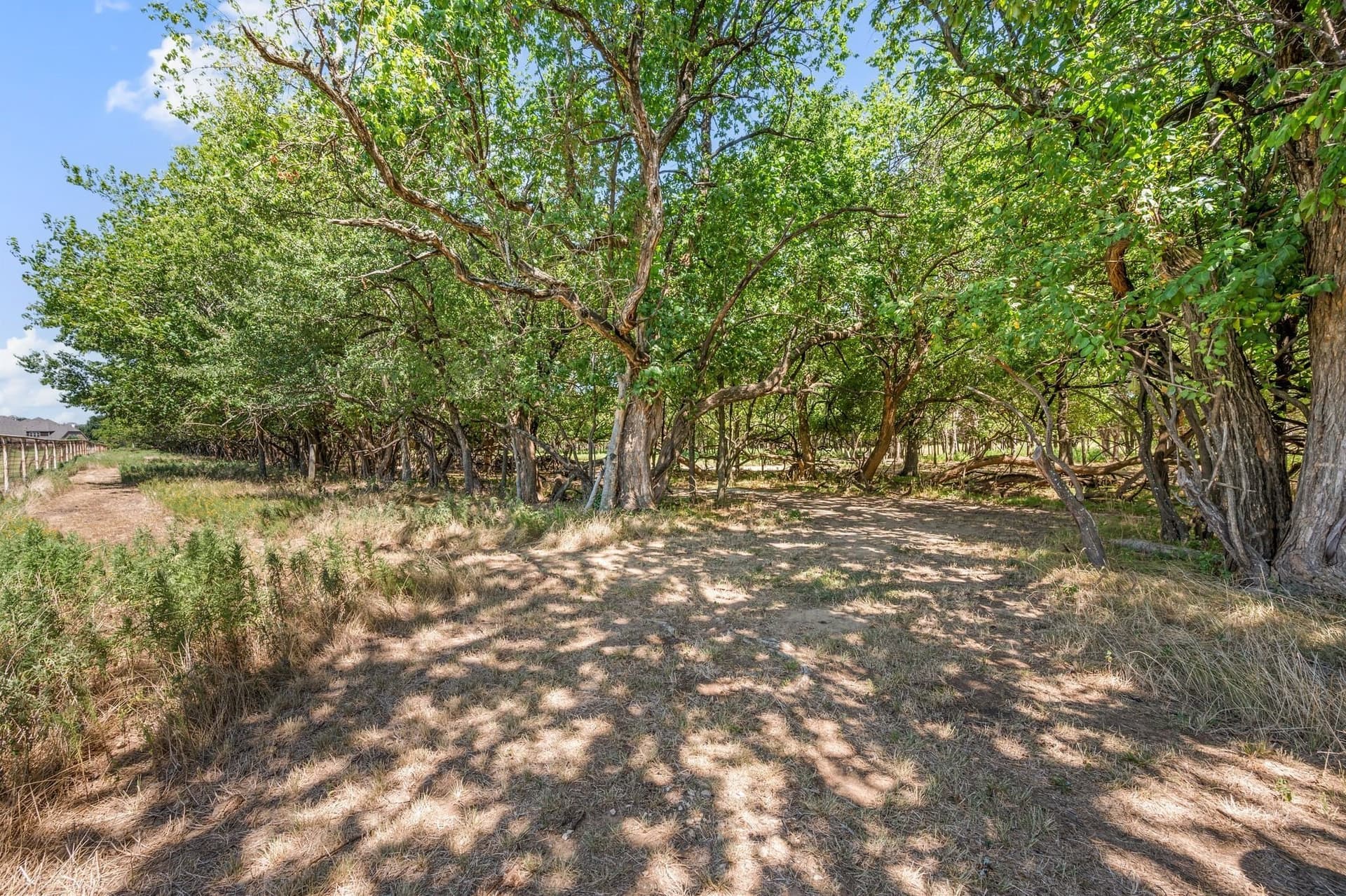 5.02 acres in Tarrant County - photo 21