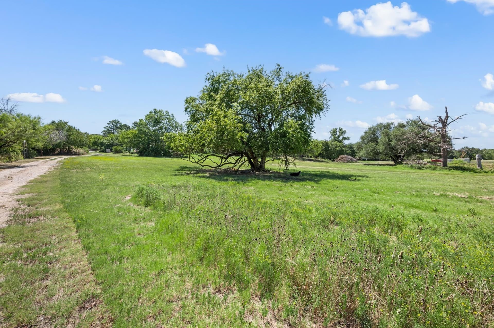 5.02 acres in Tarrant County - photo 9